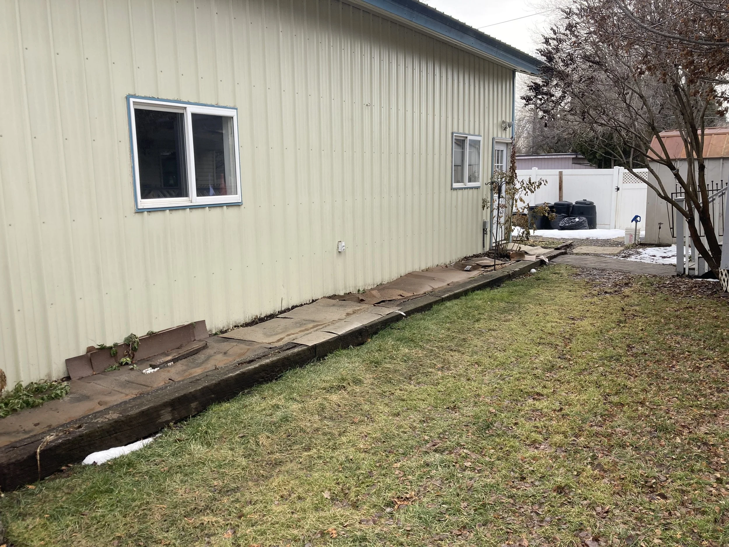 Before - Shade Garden