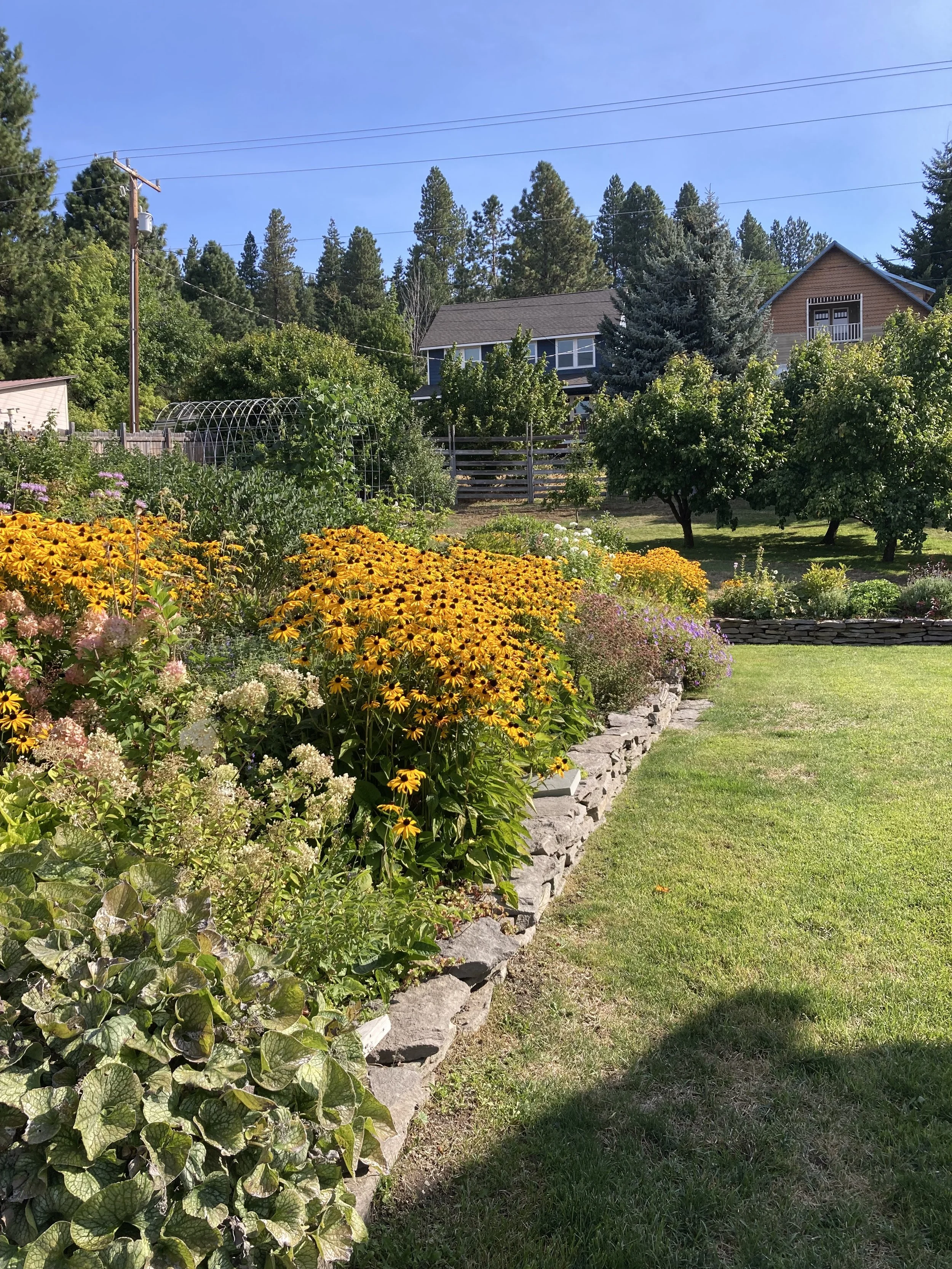 After - Late summer