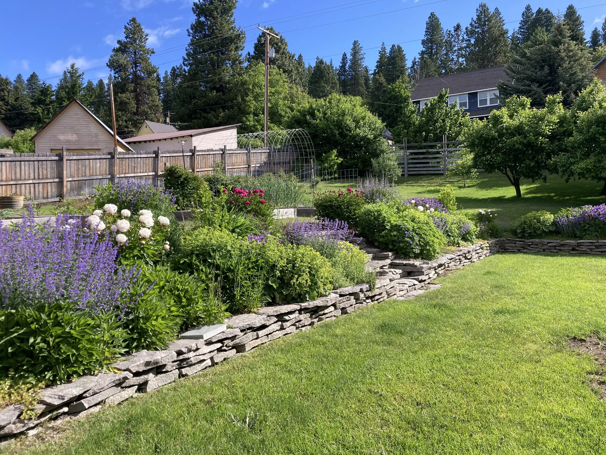 After - Early summer