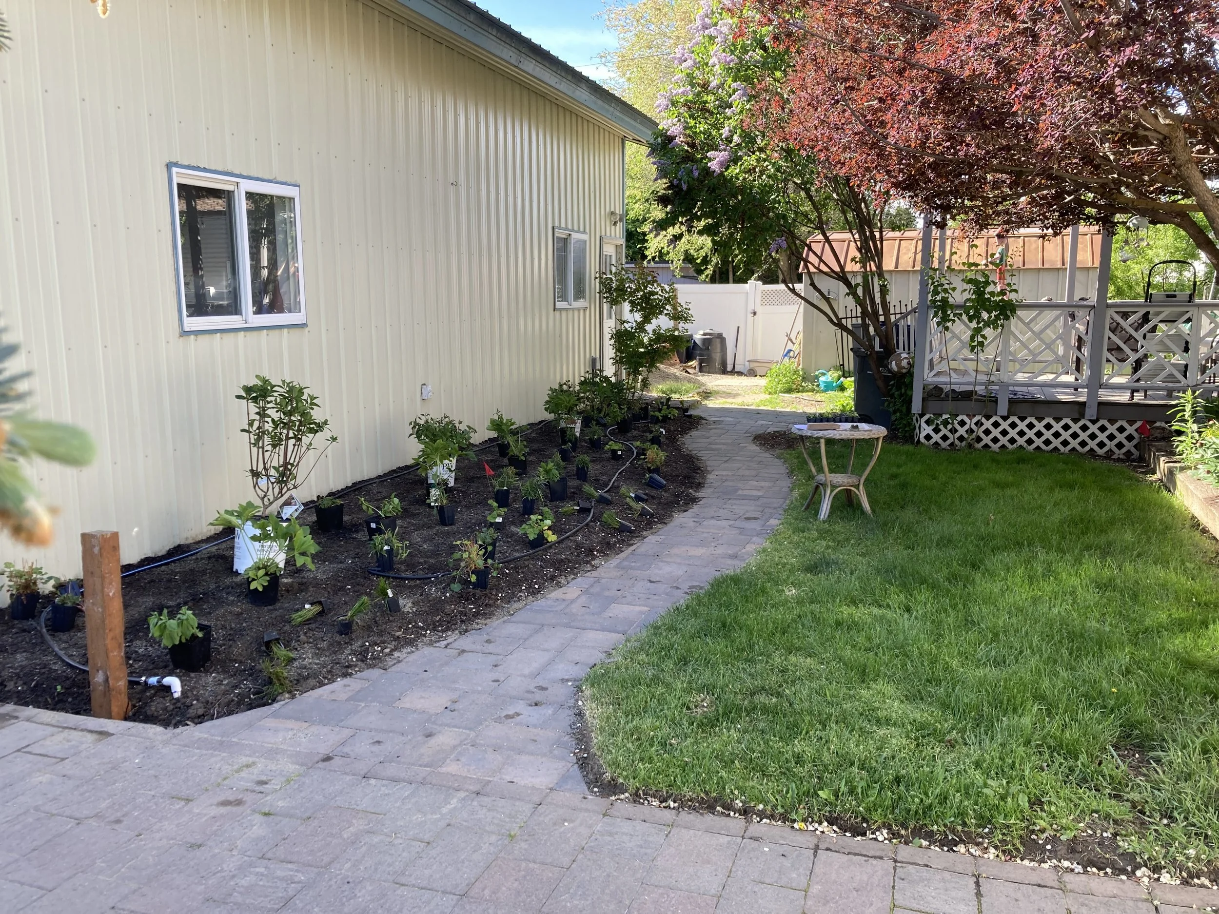 During - Planting