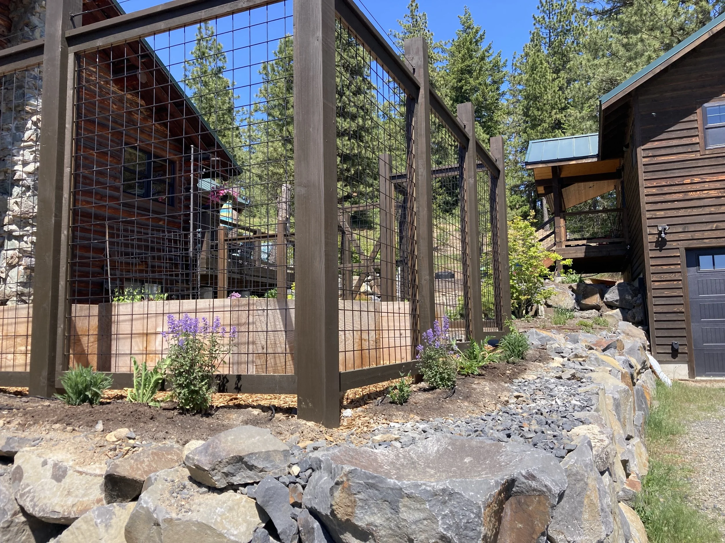 Planting - Drought tolerant, deer resistant perimeter garden.