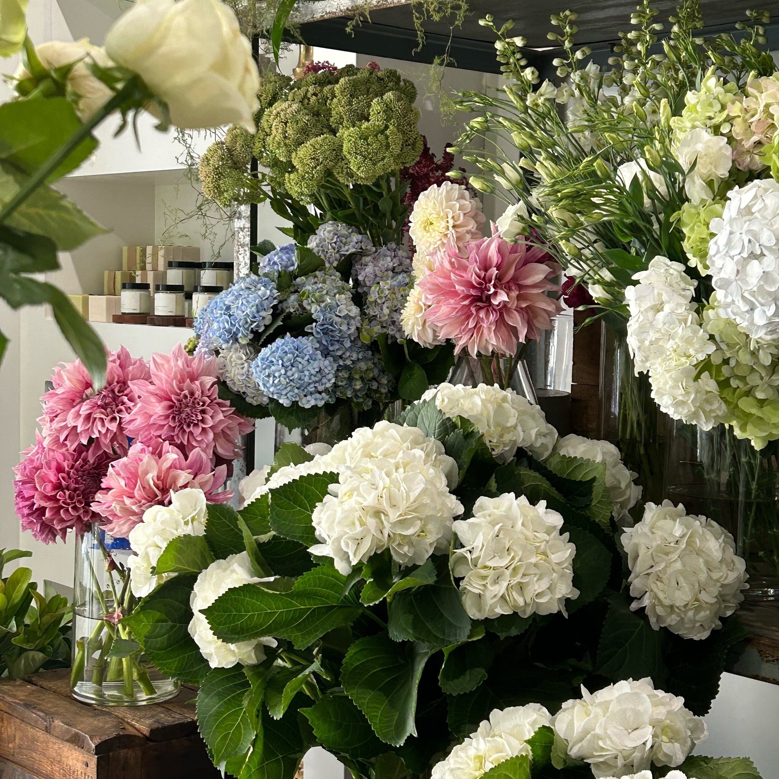This time of the year 🌸🩵 #flowergirl 

#adelaide 
#adelaideflorist