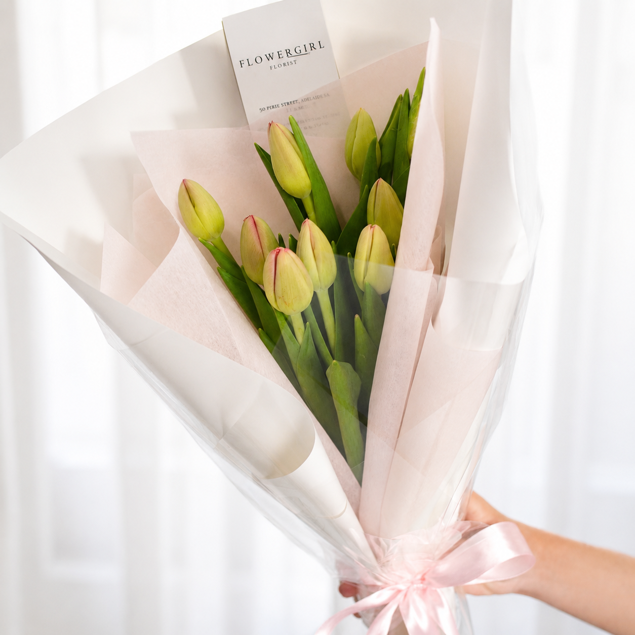 tulip2.png