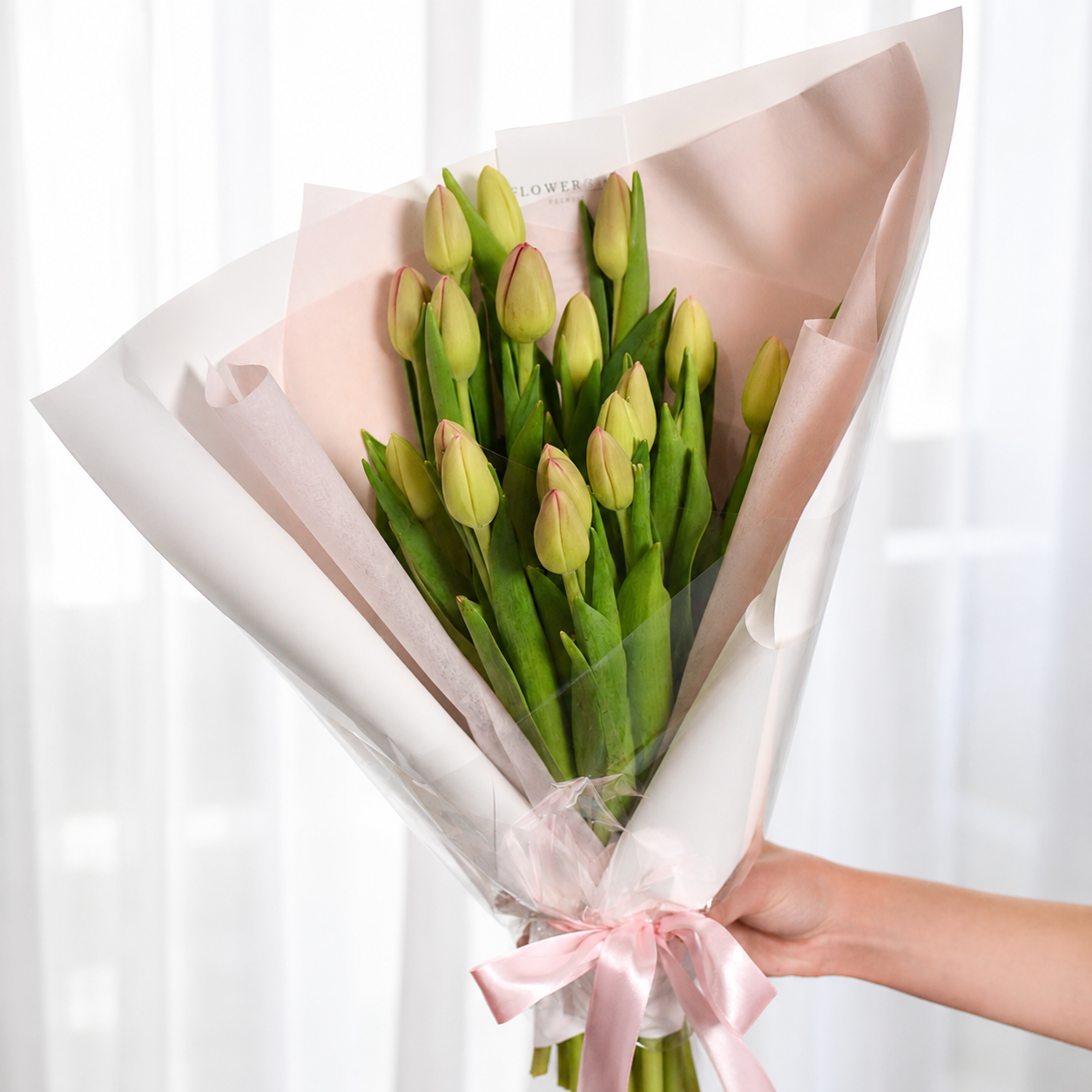tulip1.png