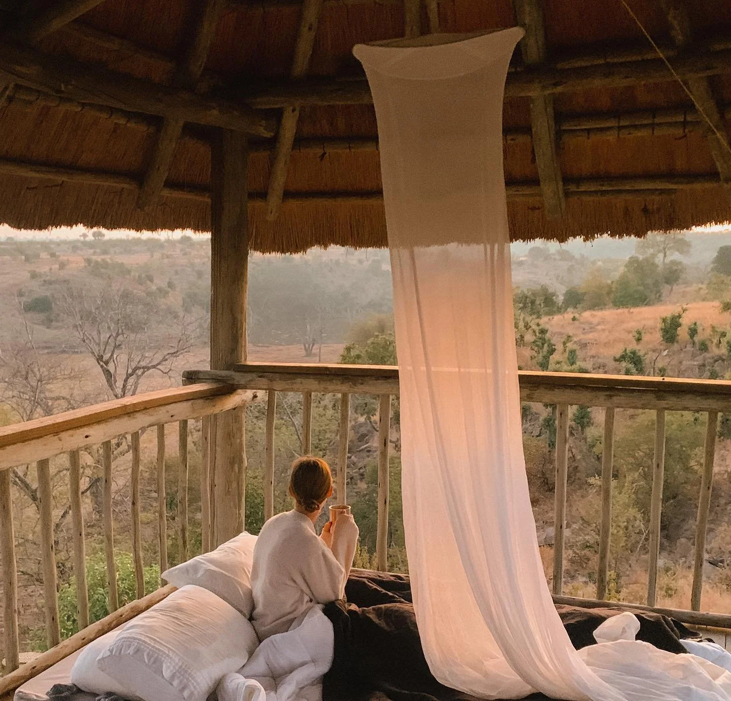 Waking up to ☕️ &amp; 🐘 after sleeping to the sounds of 🐘 &amp; 🐃 alllll night.