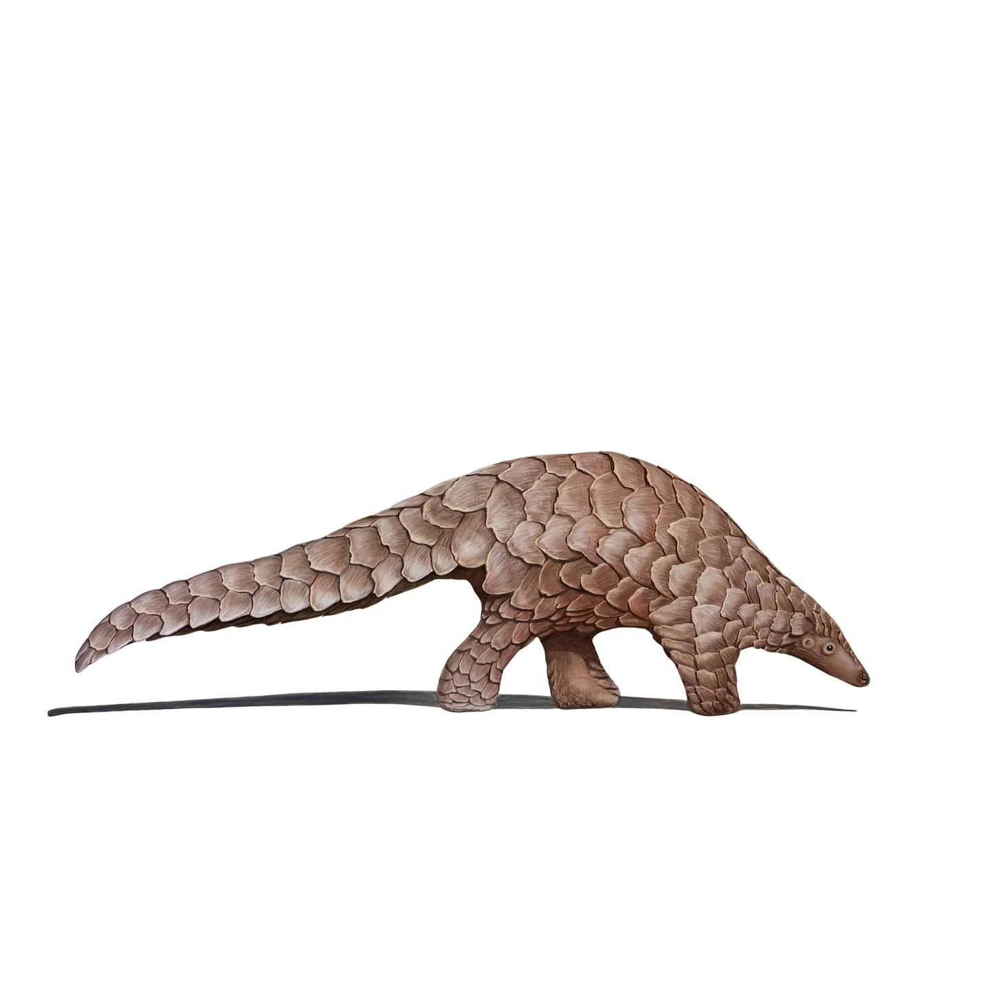 Pangolin in pastel pencils. #pangolin