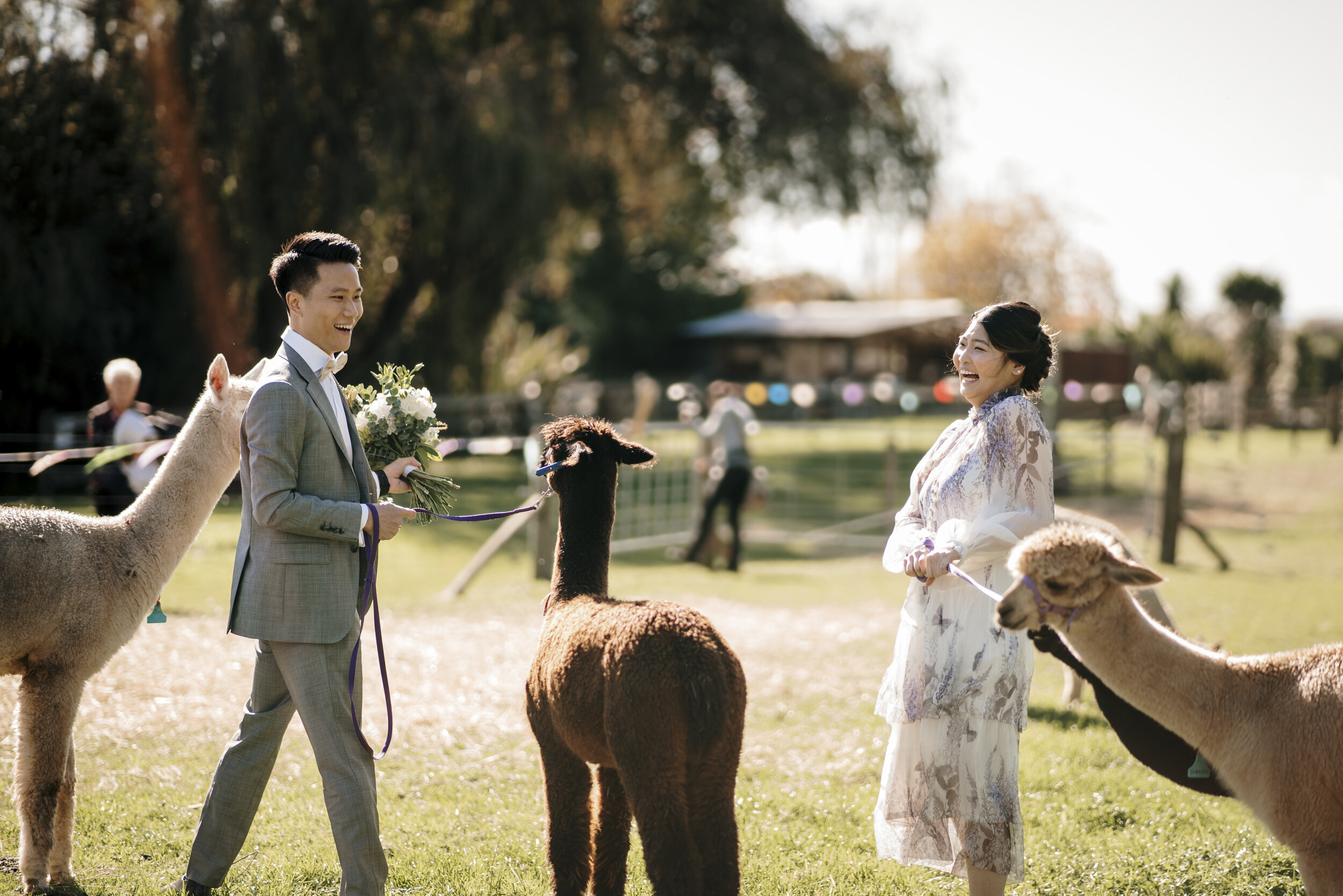 Auckland Wedding Photographer | Auckland Wedding Videographer | Cornerstone Alpeca Wedding | Hamilton Photographer | Hamilton Wedding Venue 