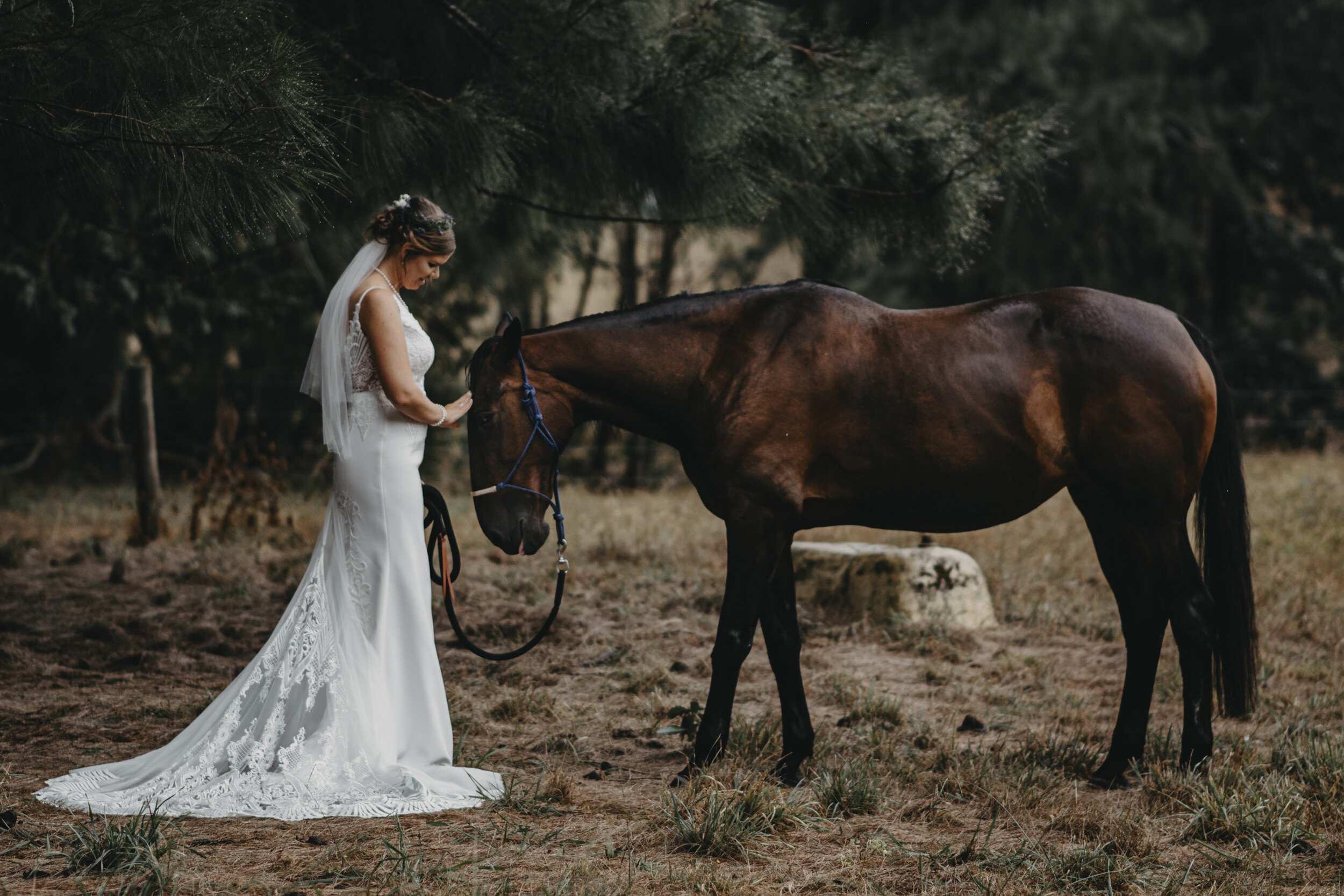 Auckland Wedding Photographer | Auckland Wedding Videographer | DIY Wedding | AucklandPhotographer | Auckland Wedding Venue 