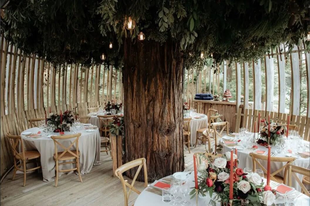Redwood Treehouse Wedding | Auckland Wedding Venue | Forest Wedding | Unique Wedding Venue | Auckland Wedding Photographer