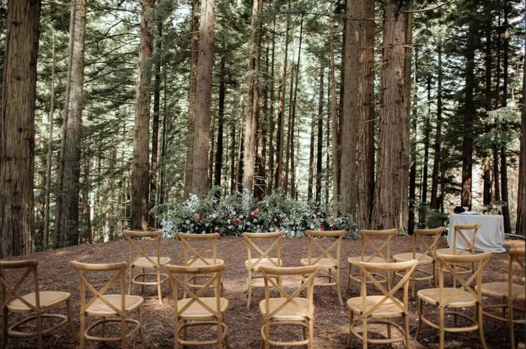 Redwood Treehouse Wedding | Auckland Wedding Venue | Forest Wedding | Unique Wedding Venue | Auckland Wedding Photographer
