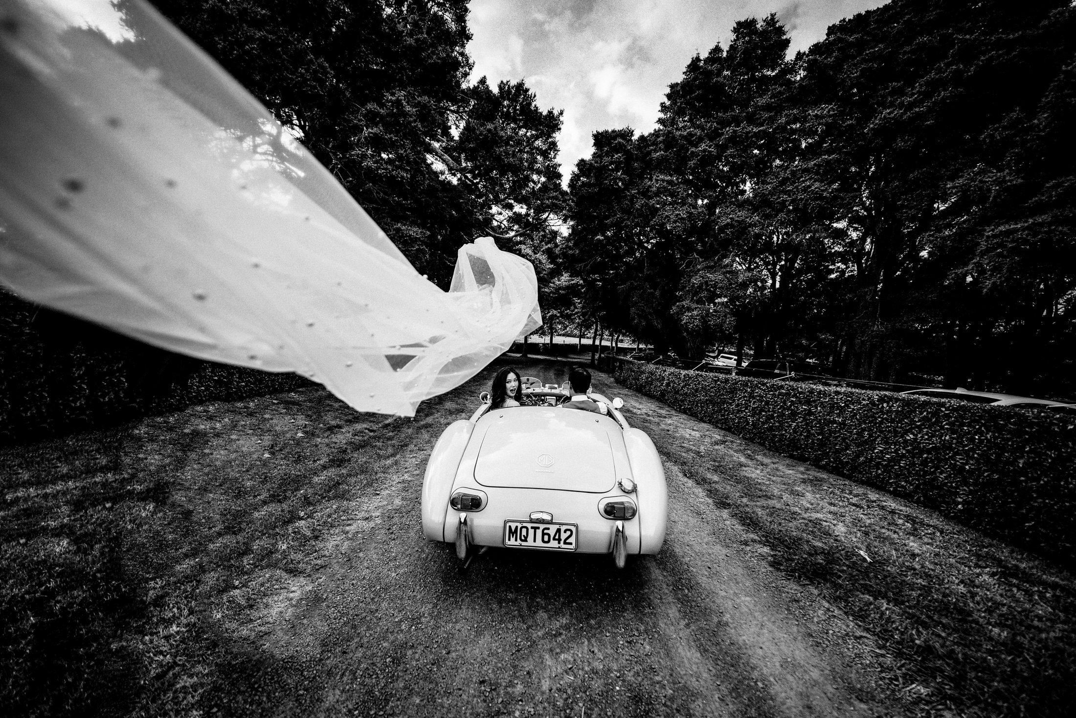 Auckland Wedding Photography &amp; Videography | Luxury Wedding Venue | Forest Wedding | South Auckland Wedding Venue | DIY Wedding | Hedges Estate Wedding | Vintage Car Wedding