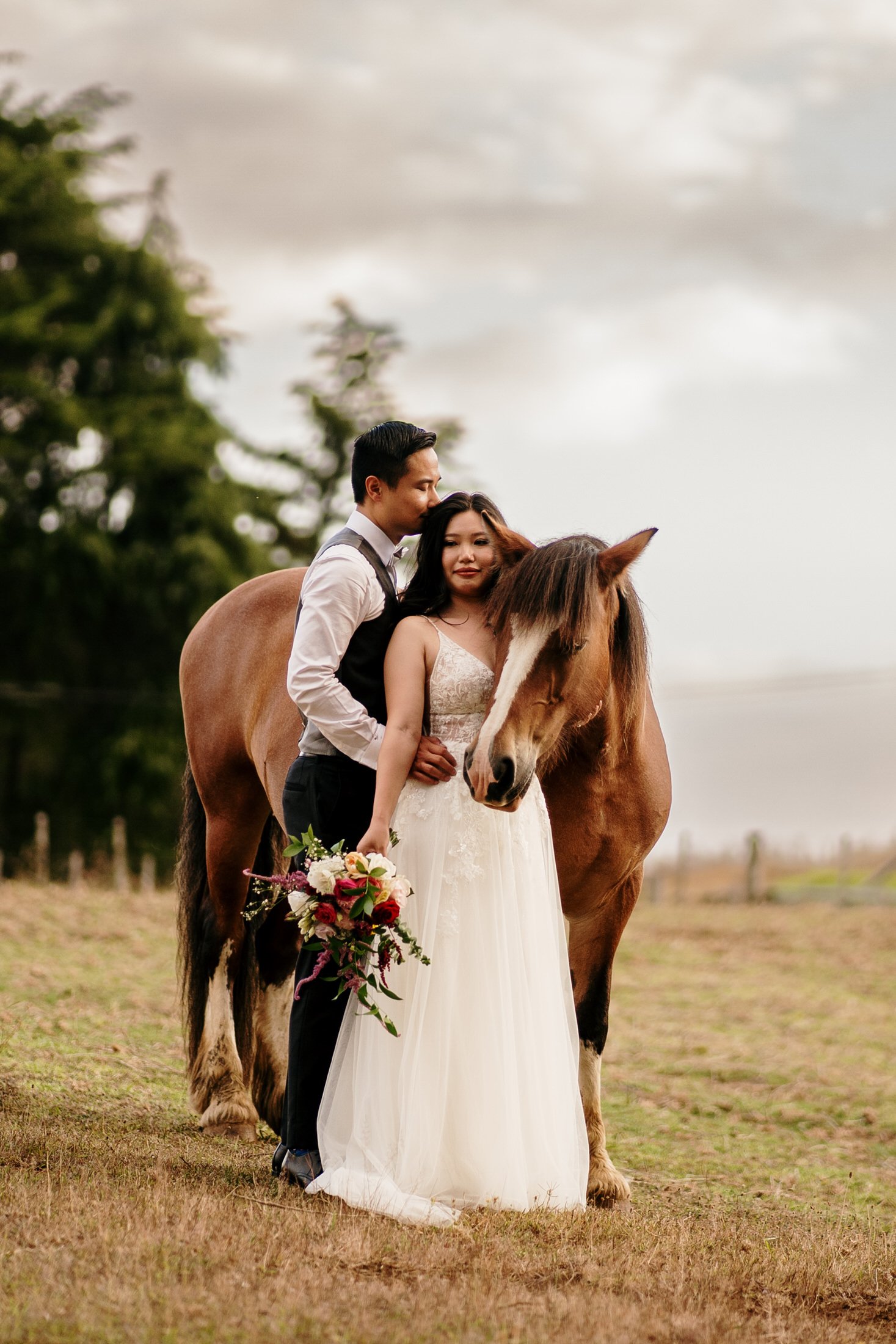 Auckland Wedding Photography &amp; Videography | Luxury Wedding Venue | Forest Wedding | South Auckland Wedding Venue | DIY Wedding | Hedges Estate Wedding | Horse Wedding | Animal Wedding