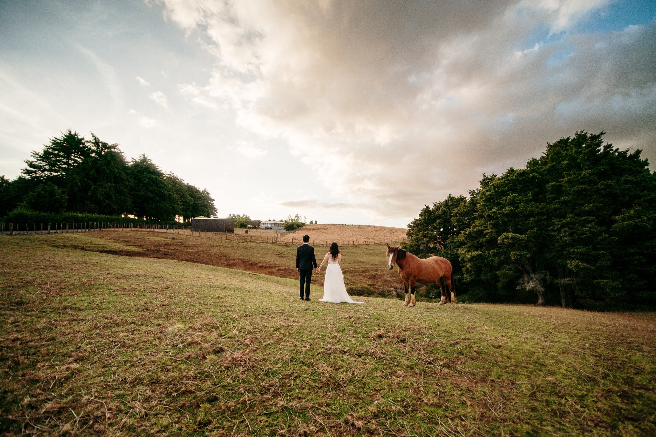 Auckland Wedding Photography &amp; Videography | Luxury Wedding Venue | Forest Wedding | South Auckland Wedding Venue | DIY Wedding | Hedges Estate Wedding | Horse Wedding