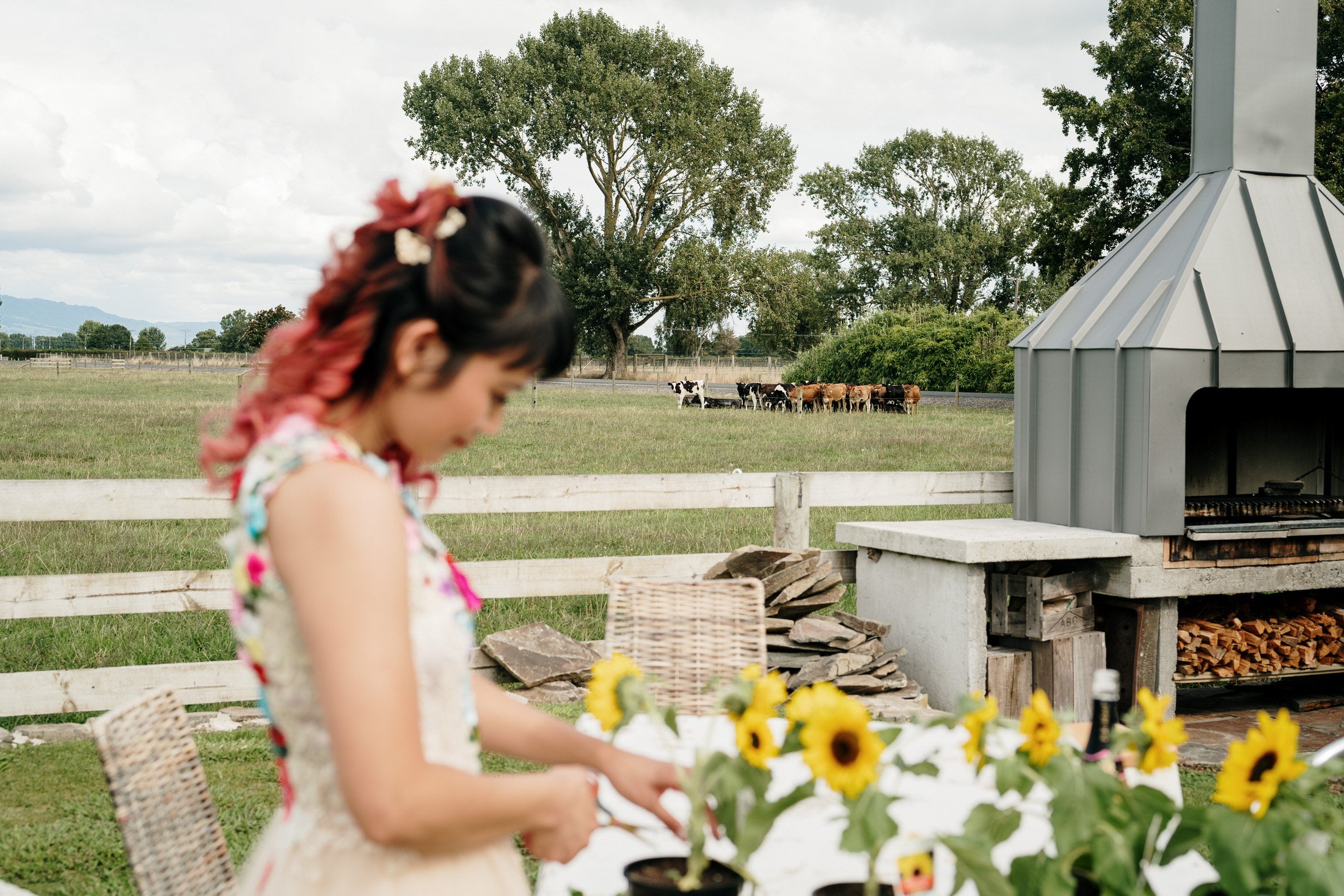 hobbiton-wedding-matamata-cambridge-venue-auckland-photographer-videographer-lord-of-the-rings-house-with-no-nails-dog-weddings (27).JPG