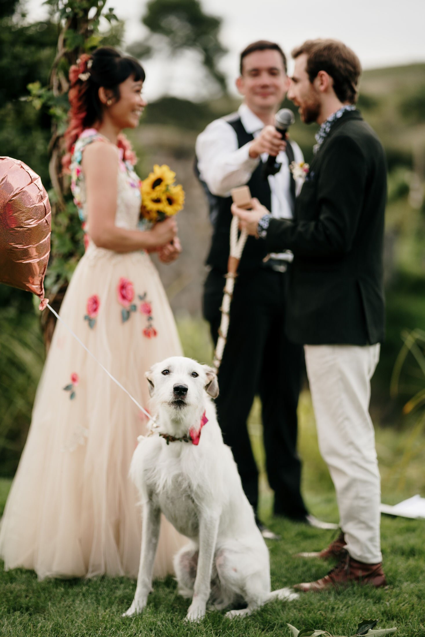 hobbiton-wedding-matamata-cambridge-venue-auckland-photographer-videographer-lord-of-the-rings-house-with-no-nails-dog-weddings (42).JPG