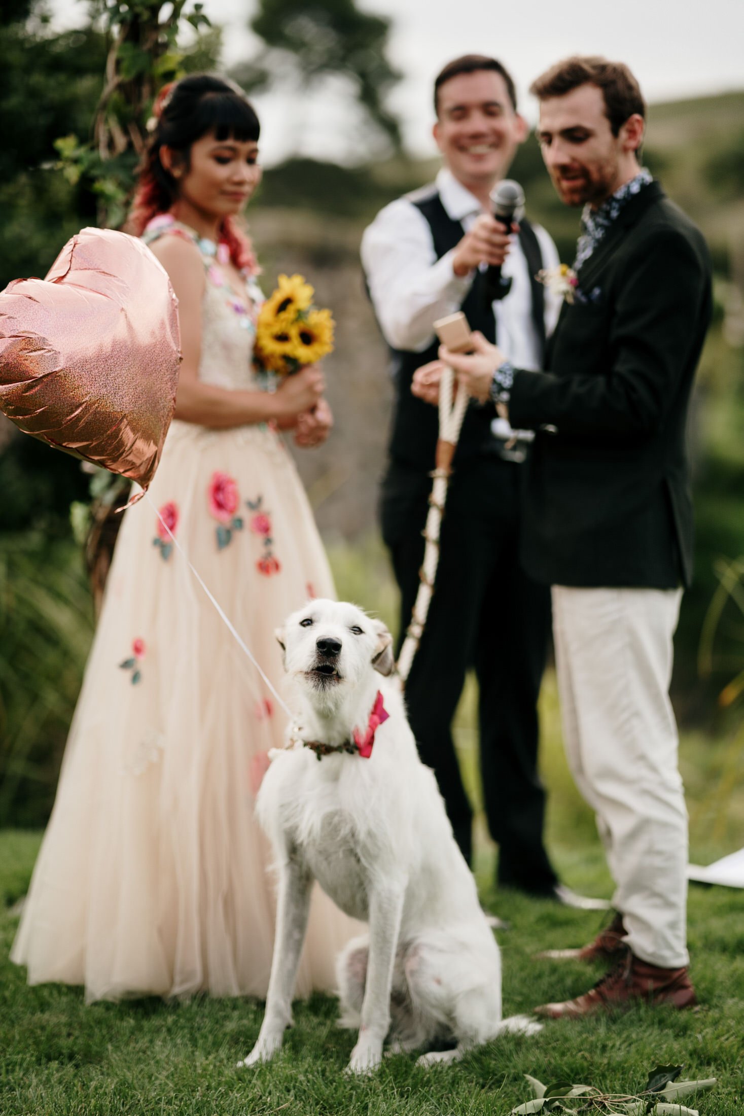 hobbiton-wedding-matamata-cambridge-venue-auckland-photographer-videographer-lord-of-the-rings-house-with-no-nails-dog-weddings (43).JPG