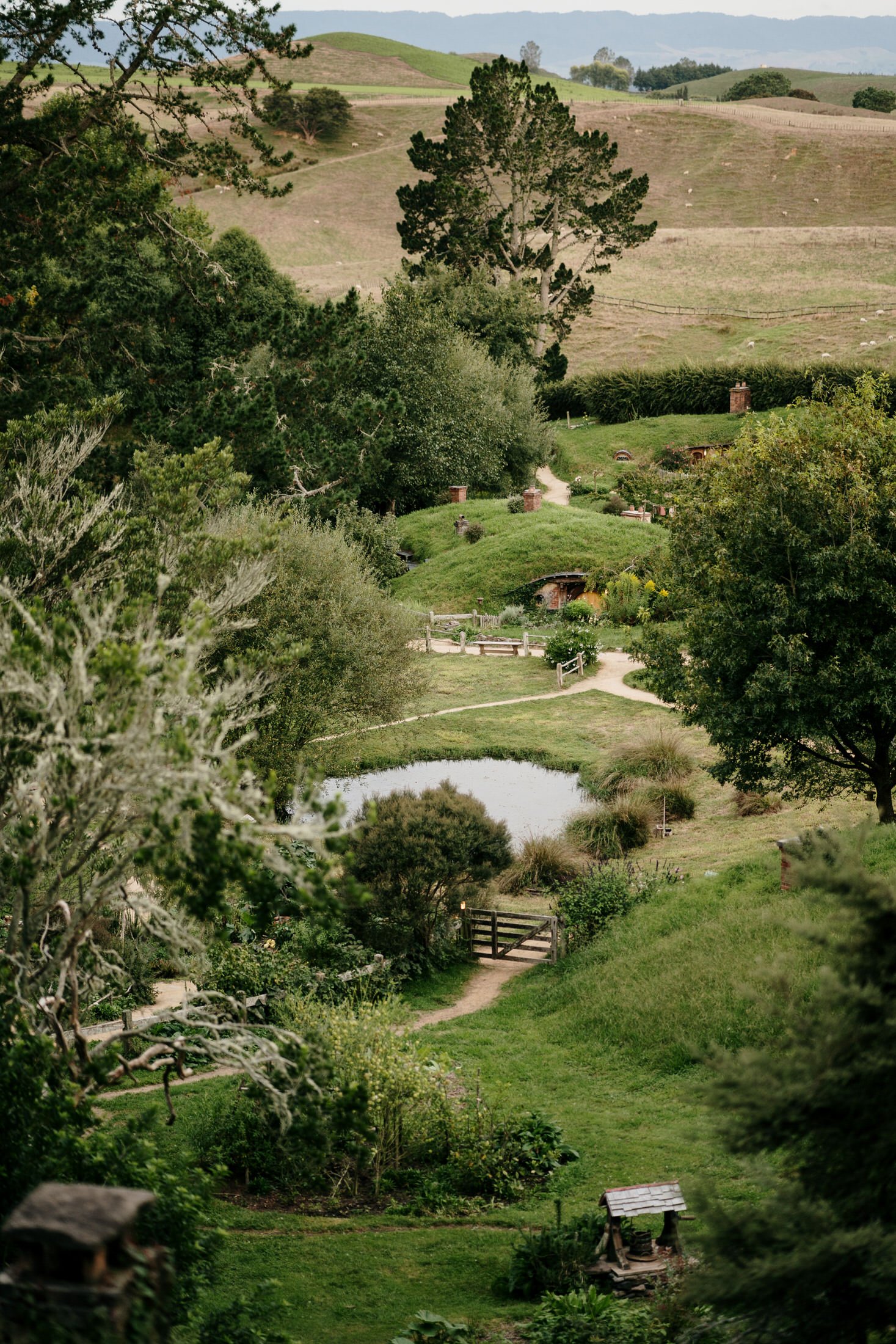 hobbiton-wedding-matamata-cambridge-venue-auckland-photographer-videographer-lord-of-the-rings-house-with-no-nails-dog-weddings (71).JPG