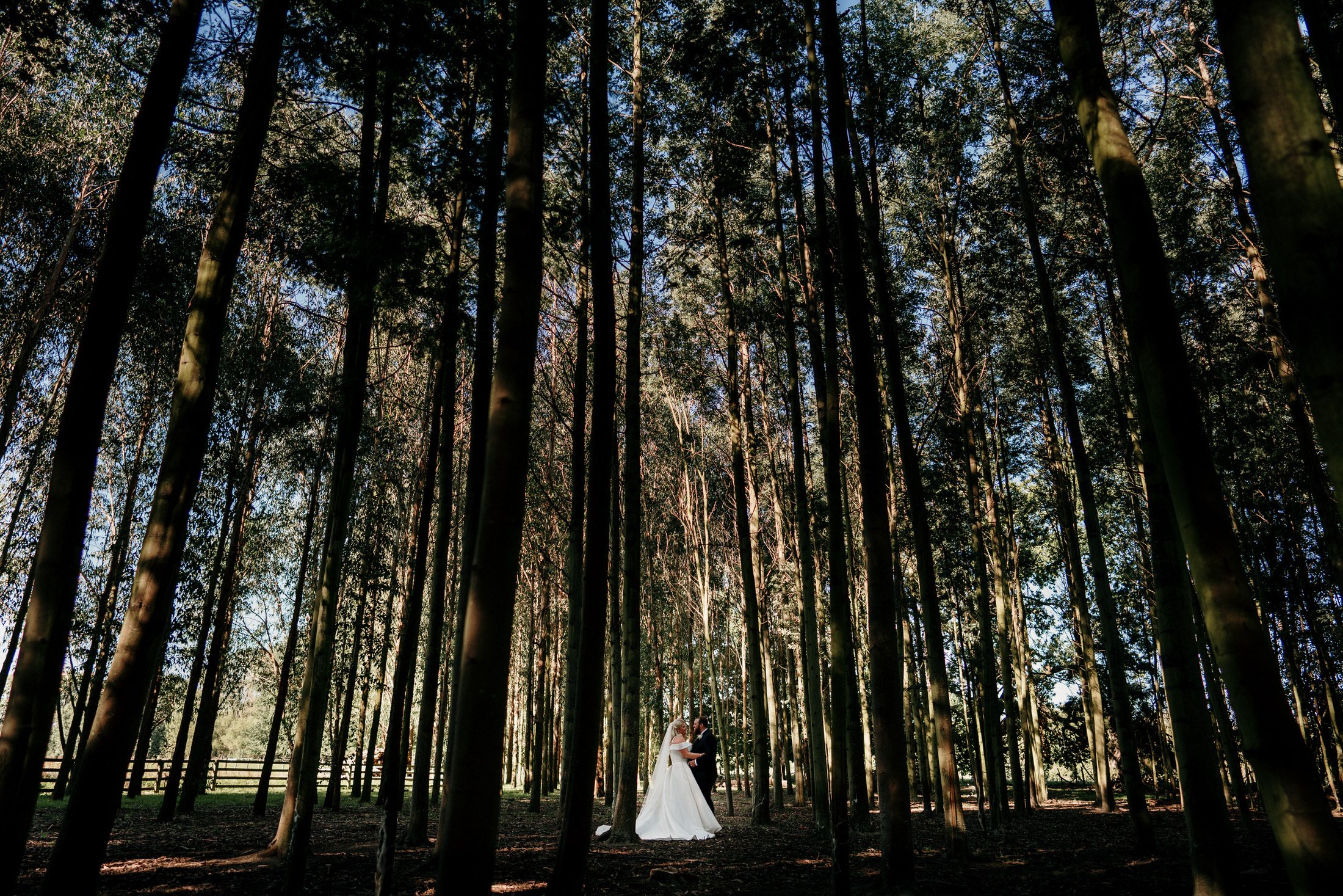 masterton-wedding-venue-auckland-wedding-photographer-videographer-garden-forest-Landing-at-Homebush-wellington (103).jpg