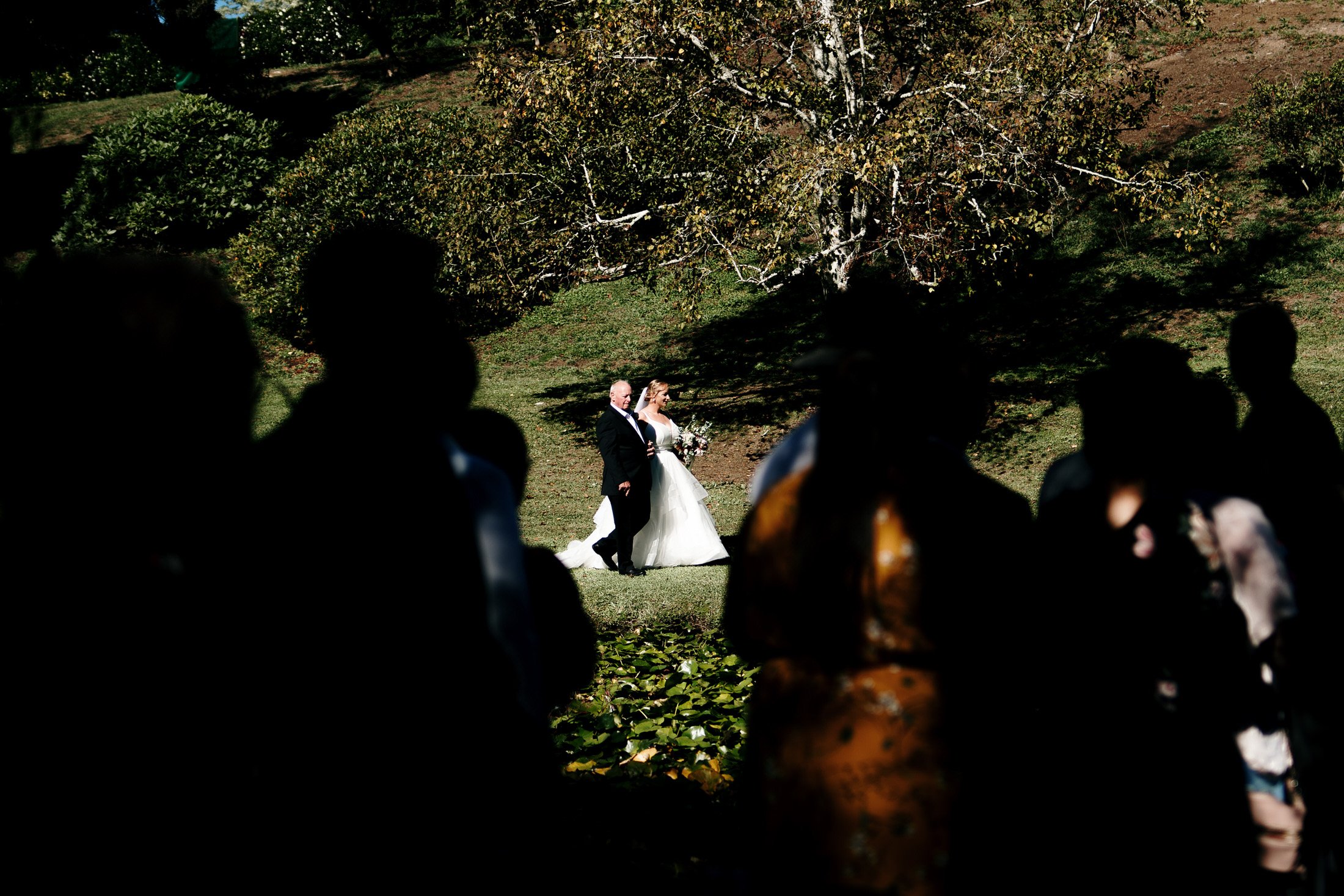 the-waterlily-garden-waihi-hamilton-waikato-auckland-wedding-photographer-videoographer-waterfall (15).jpg