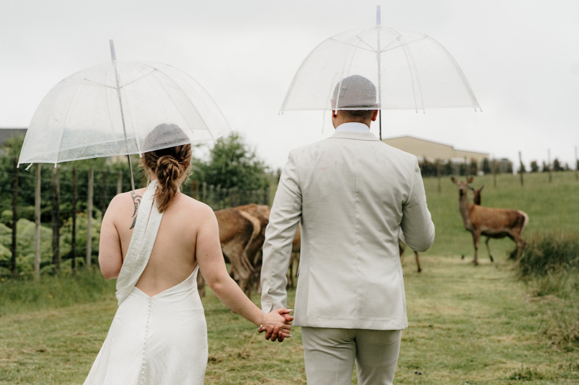 auckland-wedding-venue-deer-valley-farm-photographer-videographer-photography-dear-white-productions-top-south-rain-photography-videography-award-winning (115).jpg