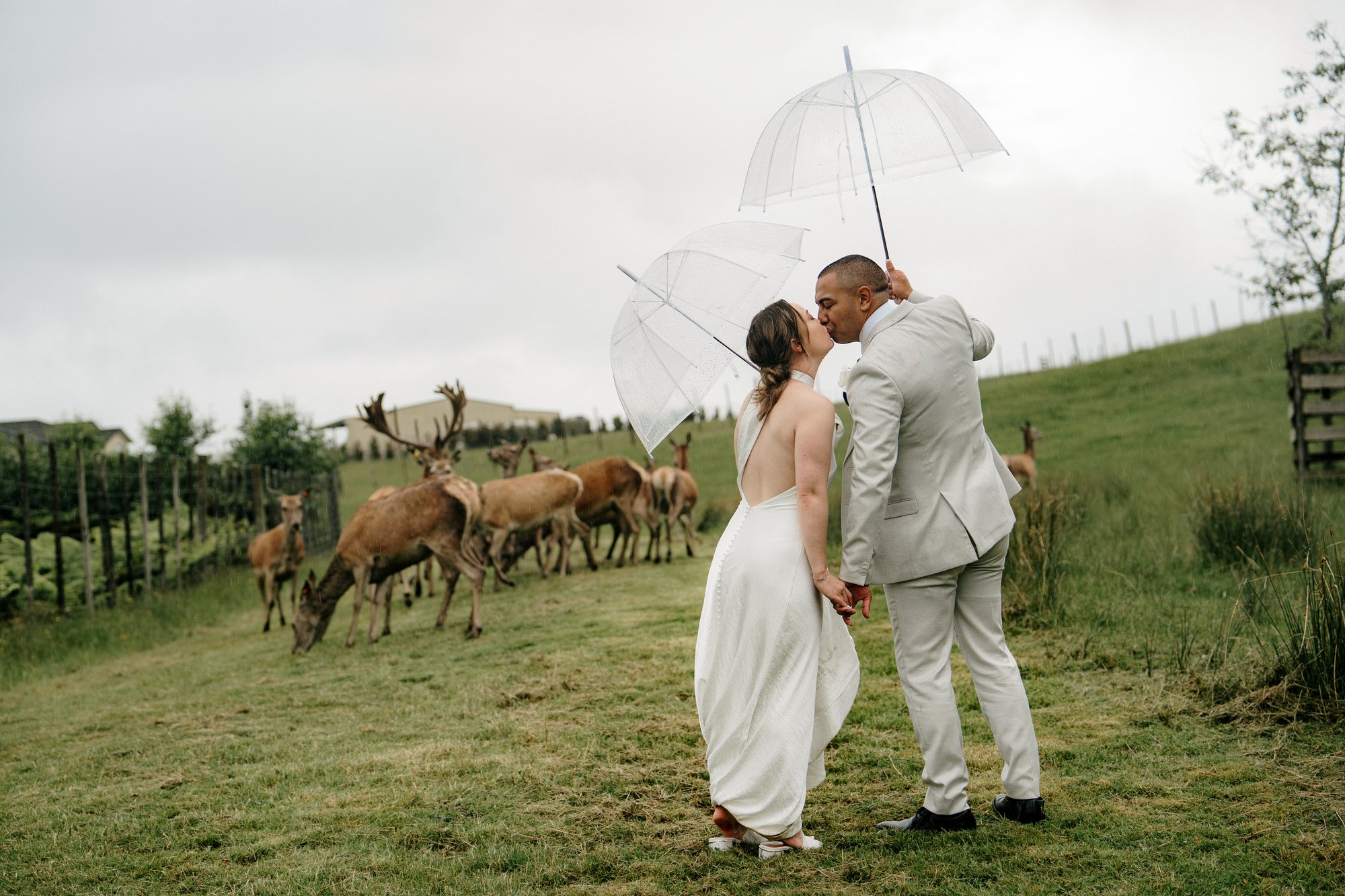 auckland-wedding-venue-deer-valley-farm-photographer-videographer-photography-dear-white-productions-top-south-rain-photography-videography-award-winning (117).jpg