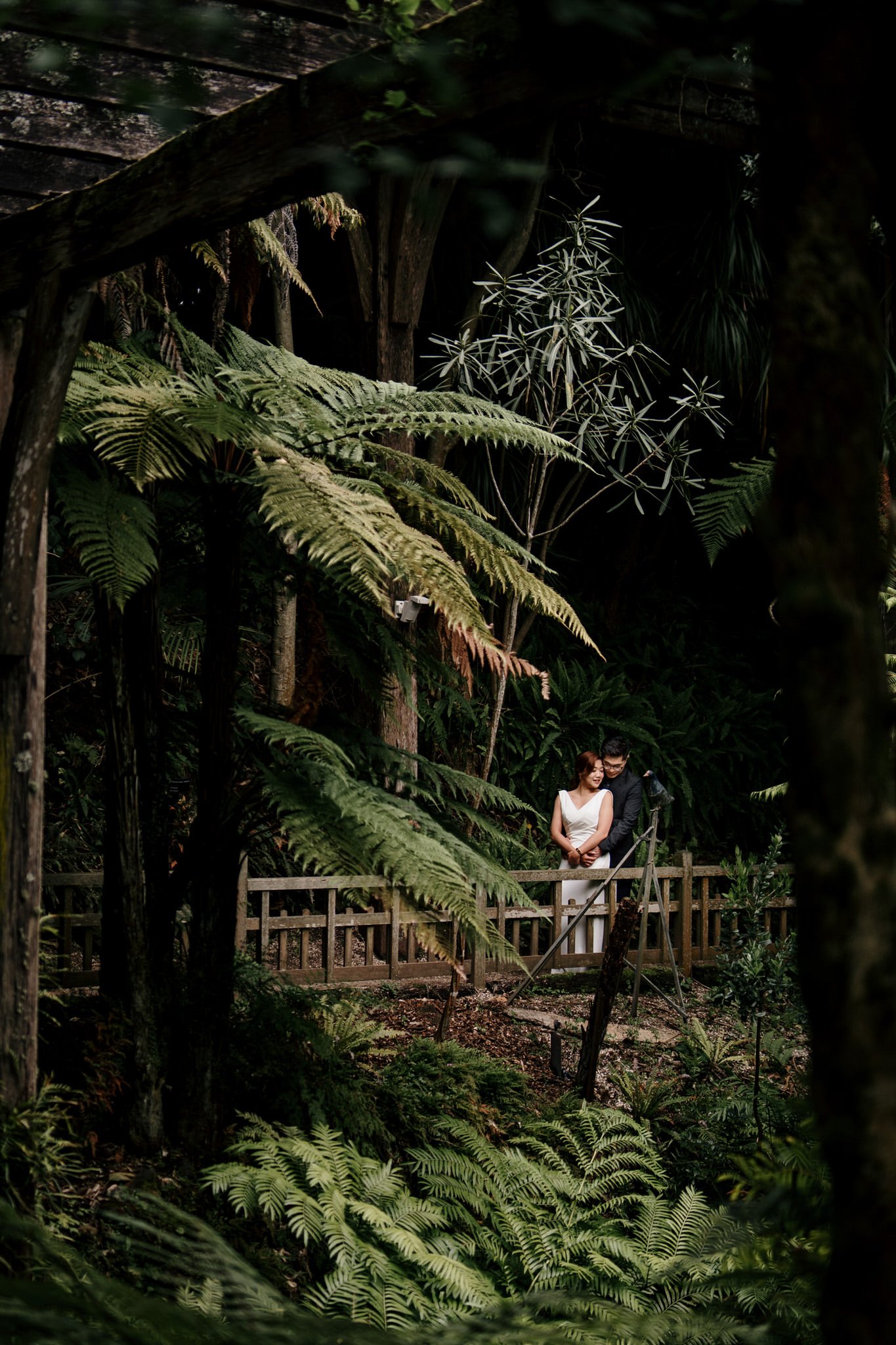 auckland-wedding-photographer-videographer-story-by-koo-koo's-jewelry-dear-white-productions-pre-wedding-engagement-photo-glass-house-botanic-fernery-garden (33).JPG