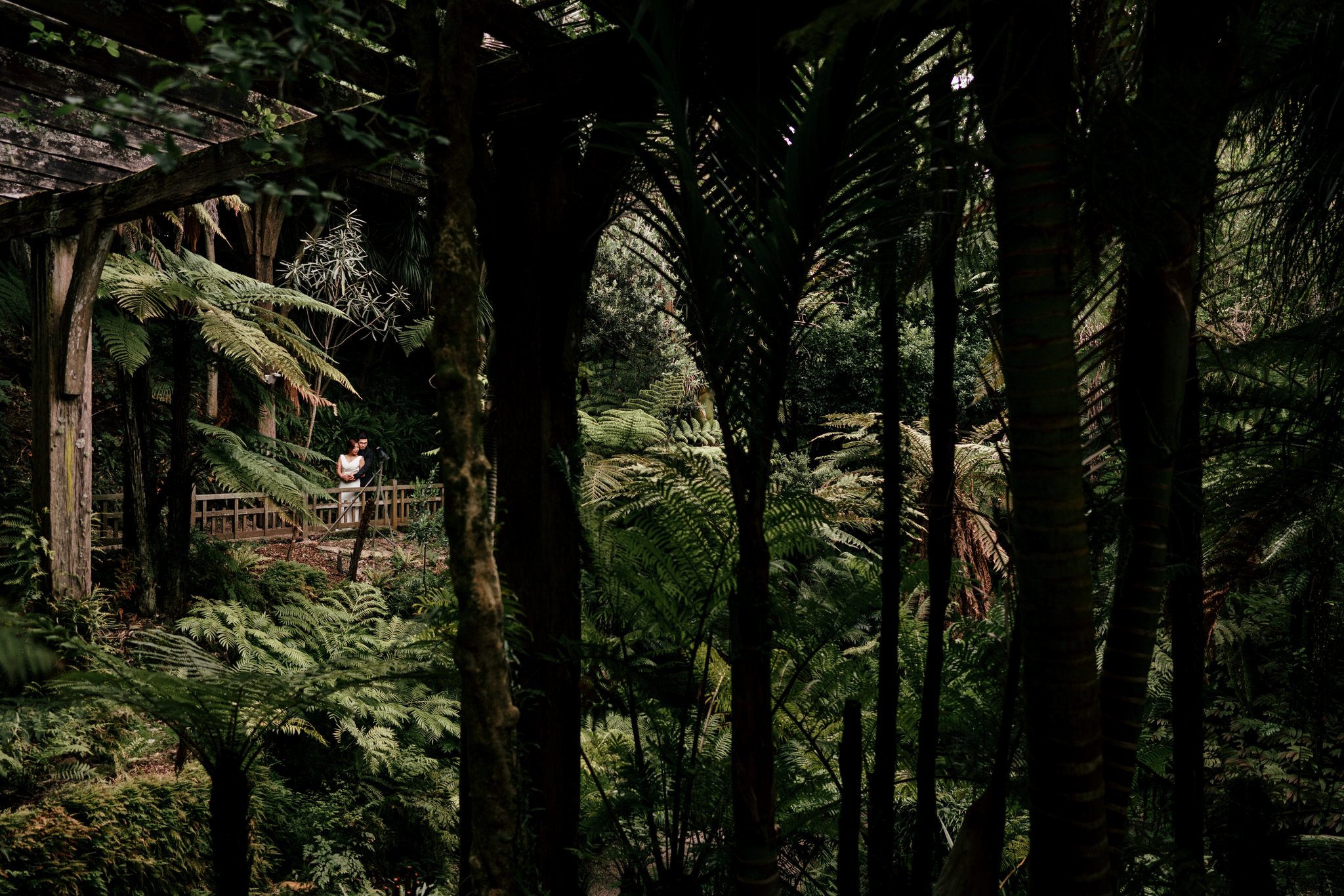 auckland-wedding-photographer-videographer-story-by-koo-koo's-jewelry-dear-white-productions-pre-wedding-engagement-photo-glass-house-botanic-fernery-garden (34).JPG