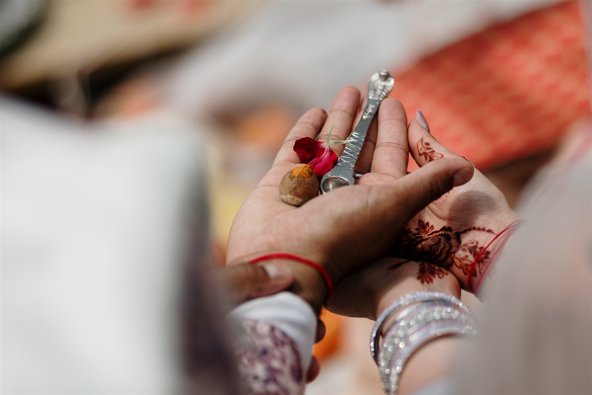 South-auckland-indian-wedding-ceremony-mandap-farm-diy-dear-white-productions-photographer-videographer-india-traditional  (55).jpg
