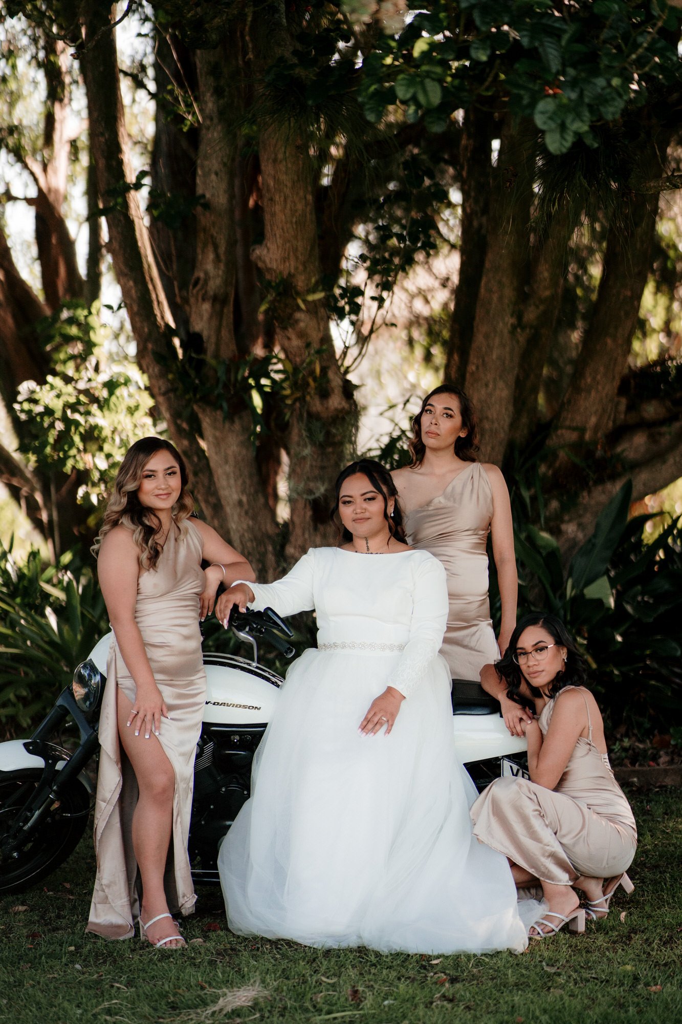 LaValla Estate Wedding | Auckland Wedding Photographer | Top Wedding Venue | best South Auckland venue | top videographer | dear white productions | Auckland photography | Wedding Party Photo