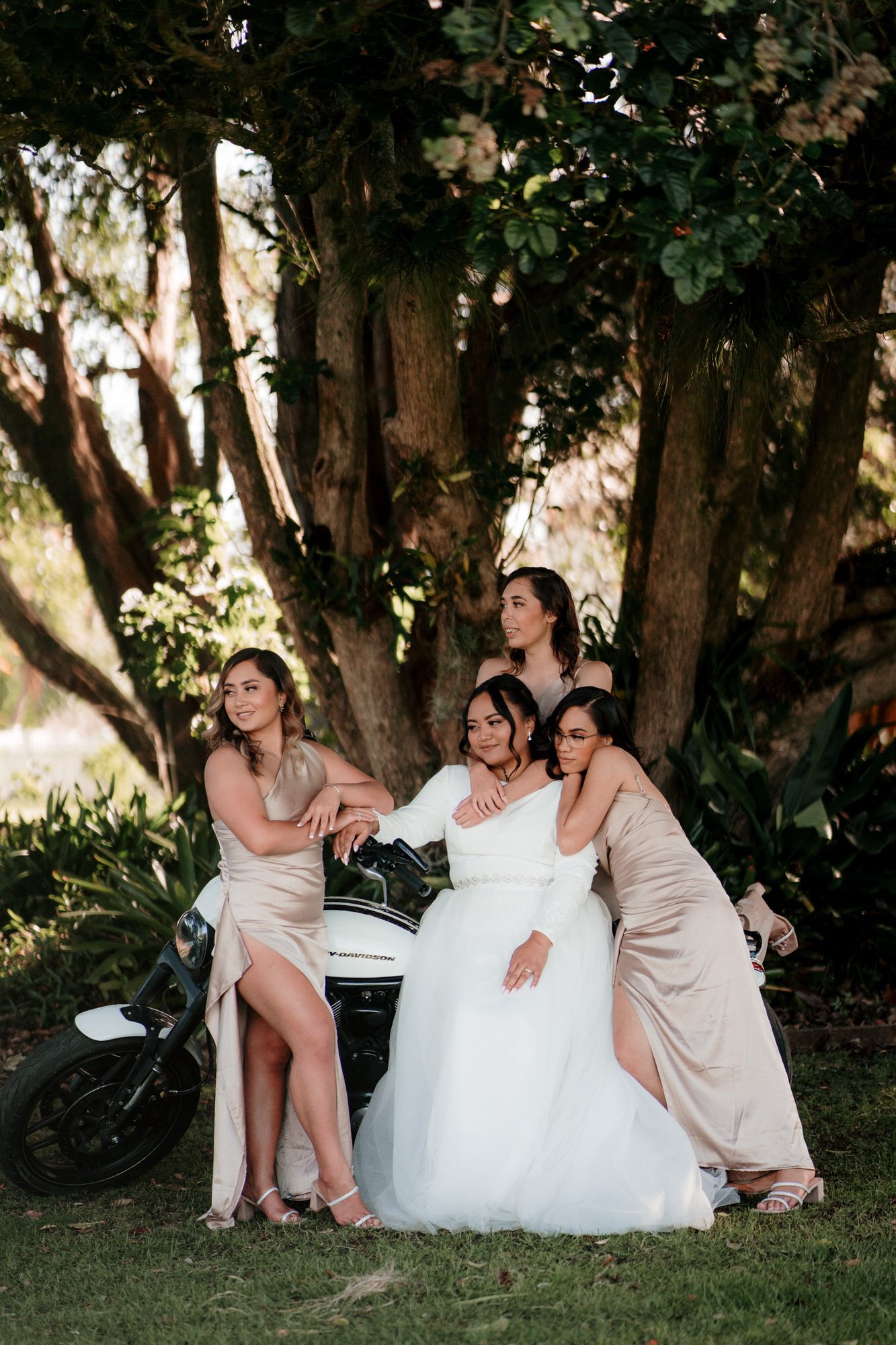LaValla Estate Wedding | Auckland Wedding Photographer | Top Wedding Venue | best South Auckland venue | top videographer | dear white productions | Auckland photography | Wedding Party Photo