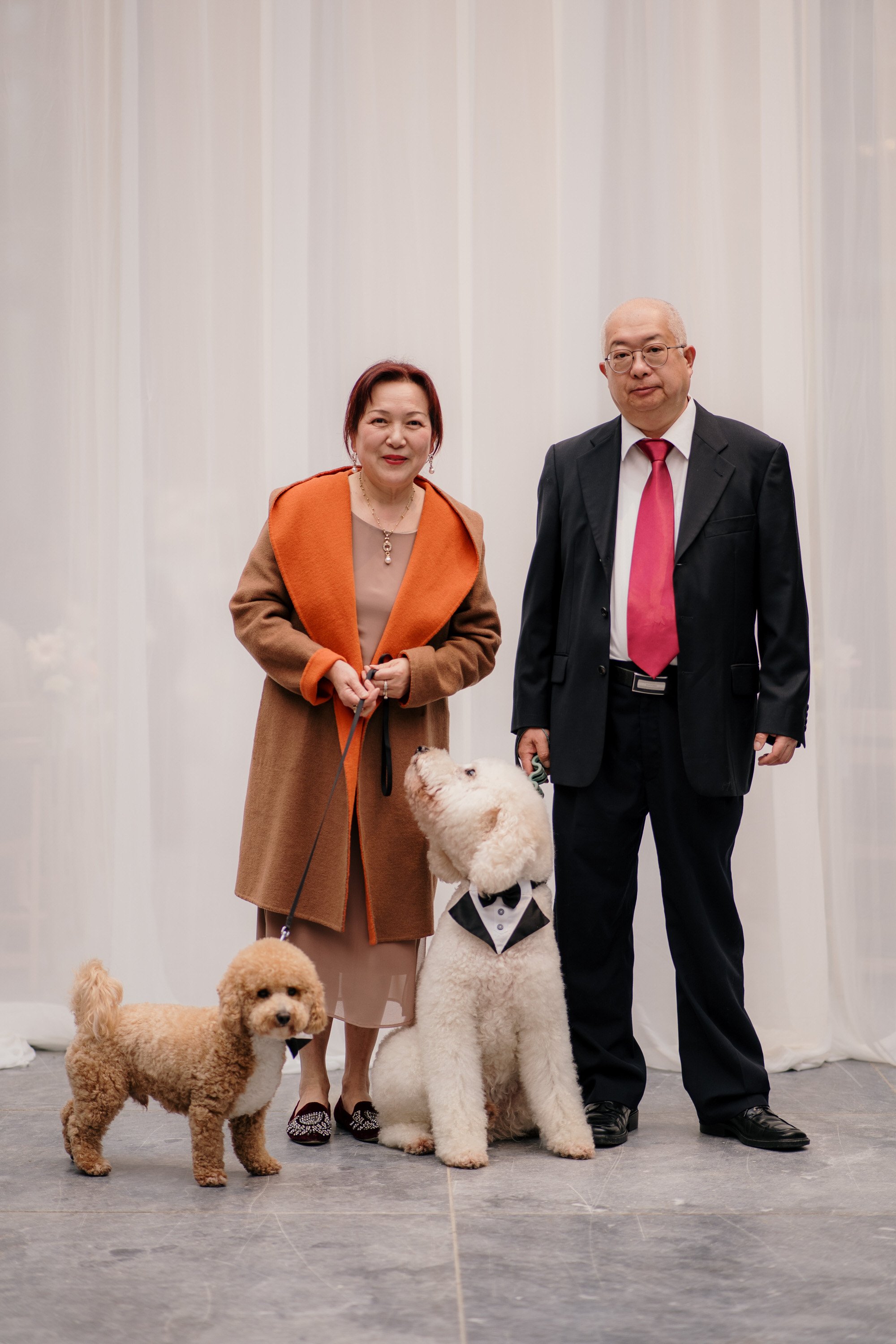 glasshouse-morningside-top-auckland-wedding-phtographer-2023-photography-videography-film-new-zealand-NZ-best-urban-venue-traditional-chinese-ceremony-spring-colourful-pet-dog-dear-white-production (26).jpg