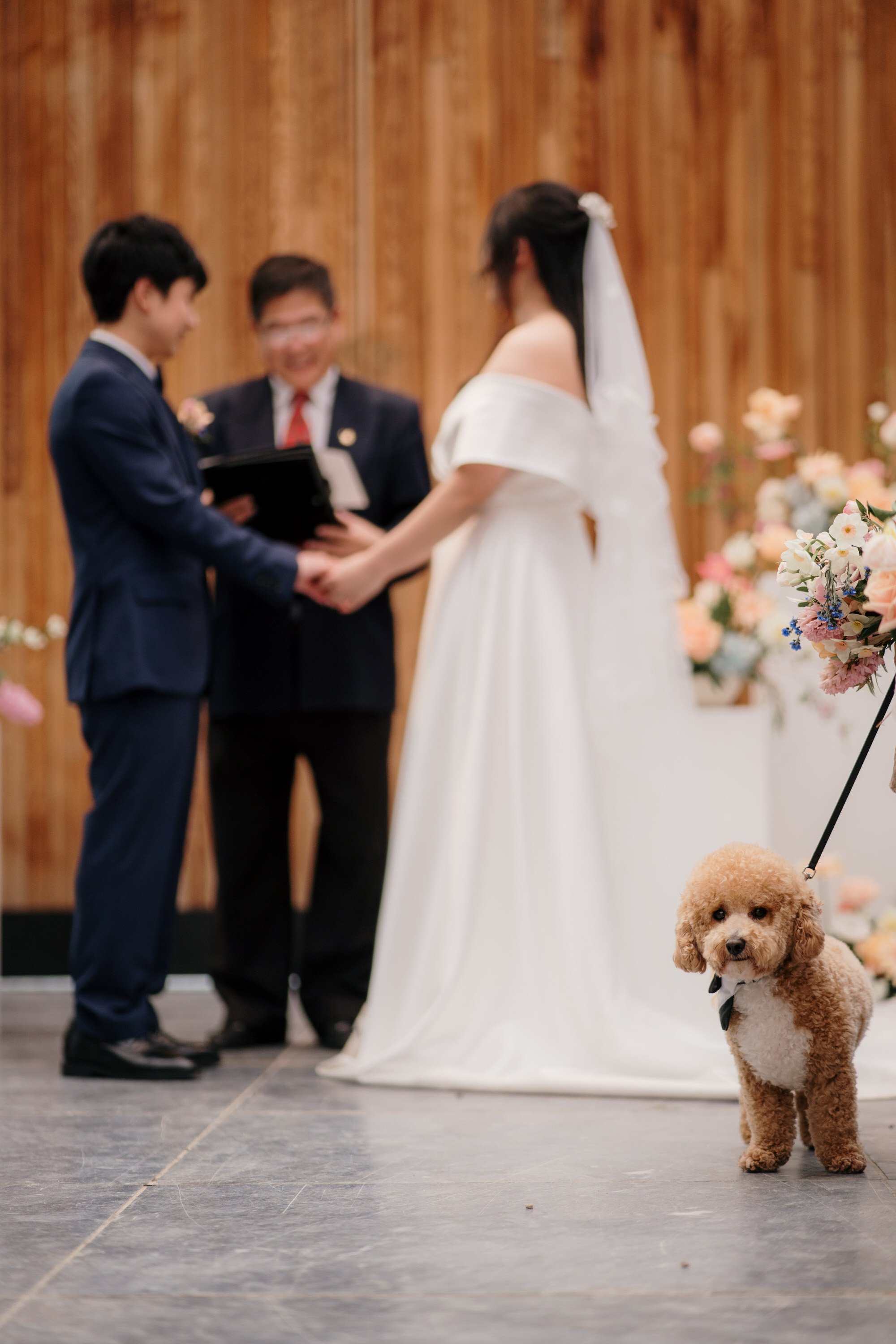 glasshouse-morningside-top-auckland-wedding-phtographer-2023-photography-videography-film-new-zealand-NZ-best-urban-venue-traditional-chinese-ceremony-spring-colourful-pet-dog-dear-white-production (34).jpg