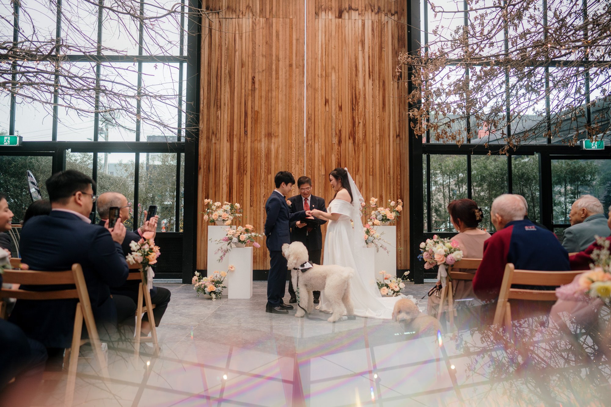 glasshouse-morningside-top-auckland-wedding-phtographer-2023-photography-videography-film-new-zealand-NZ-best-urban-venue-traditional-chinese-ceremony-spring-colourful-pet-dog-dear-white-production (42).jpg