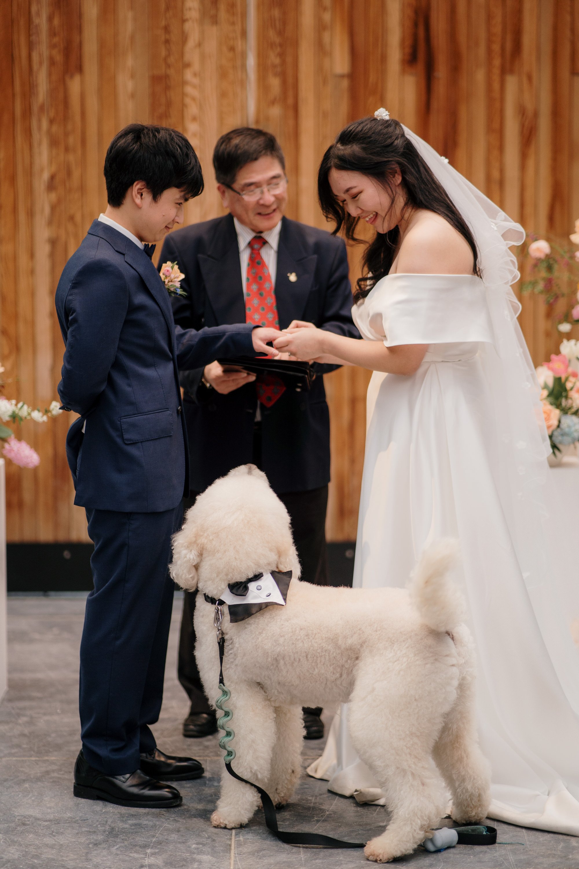 glasshouse-morningside-top-auckland-wedding-phtographer-2023-photography-videography-film-new-zealand-NZ-best-urban-venue-traditional-chinese-ceremony-spring-colourful-pet-dog-dear-white-production (41).jpg