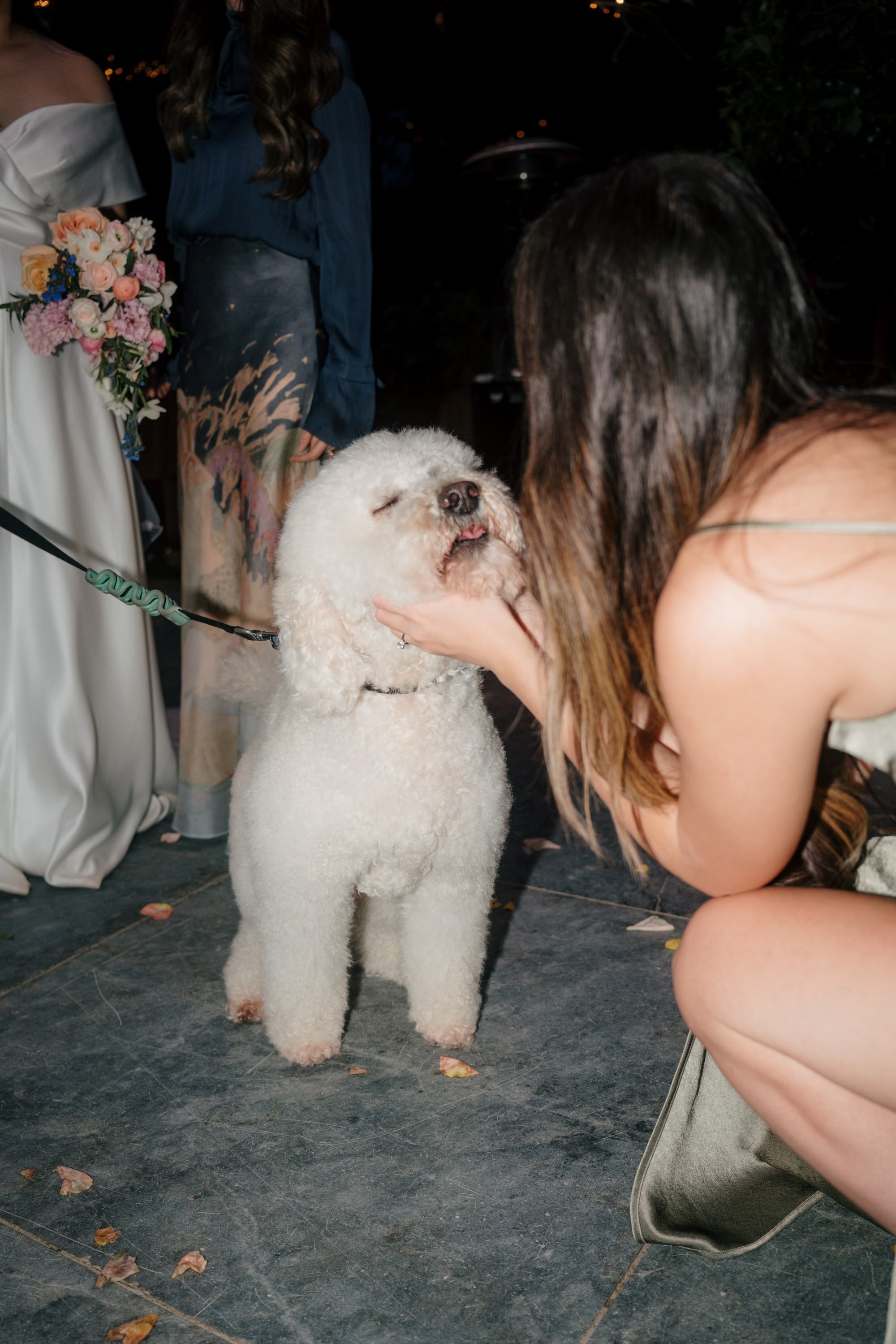 glasshouse-morningside-top-auckland-wedding-phtographer-2023-photography-videography-film-new-zealand-NZ-best-urban-venue-traditional-chinese-ceremony-spring-colourful-pet-dog-dear-white-production (60).jpg