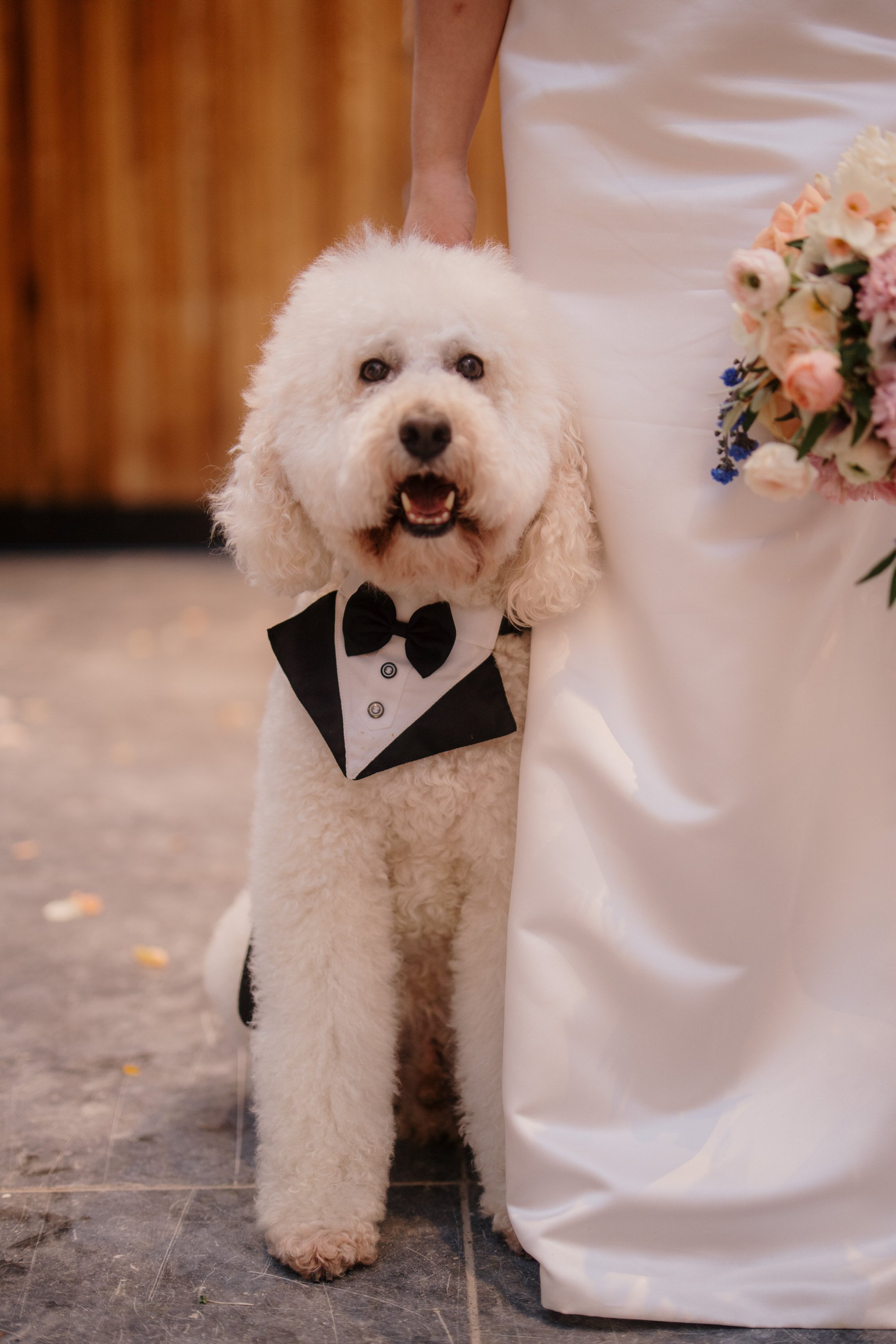 glasshouse-morningside-top-auckland-wedding-phtographer-2023-photography-videography-film-new-zealand-NZ-best-urban-venue-traditional-chinese-ceremony-spring-colourful-pet-dog-dear-white-production (63).jpg