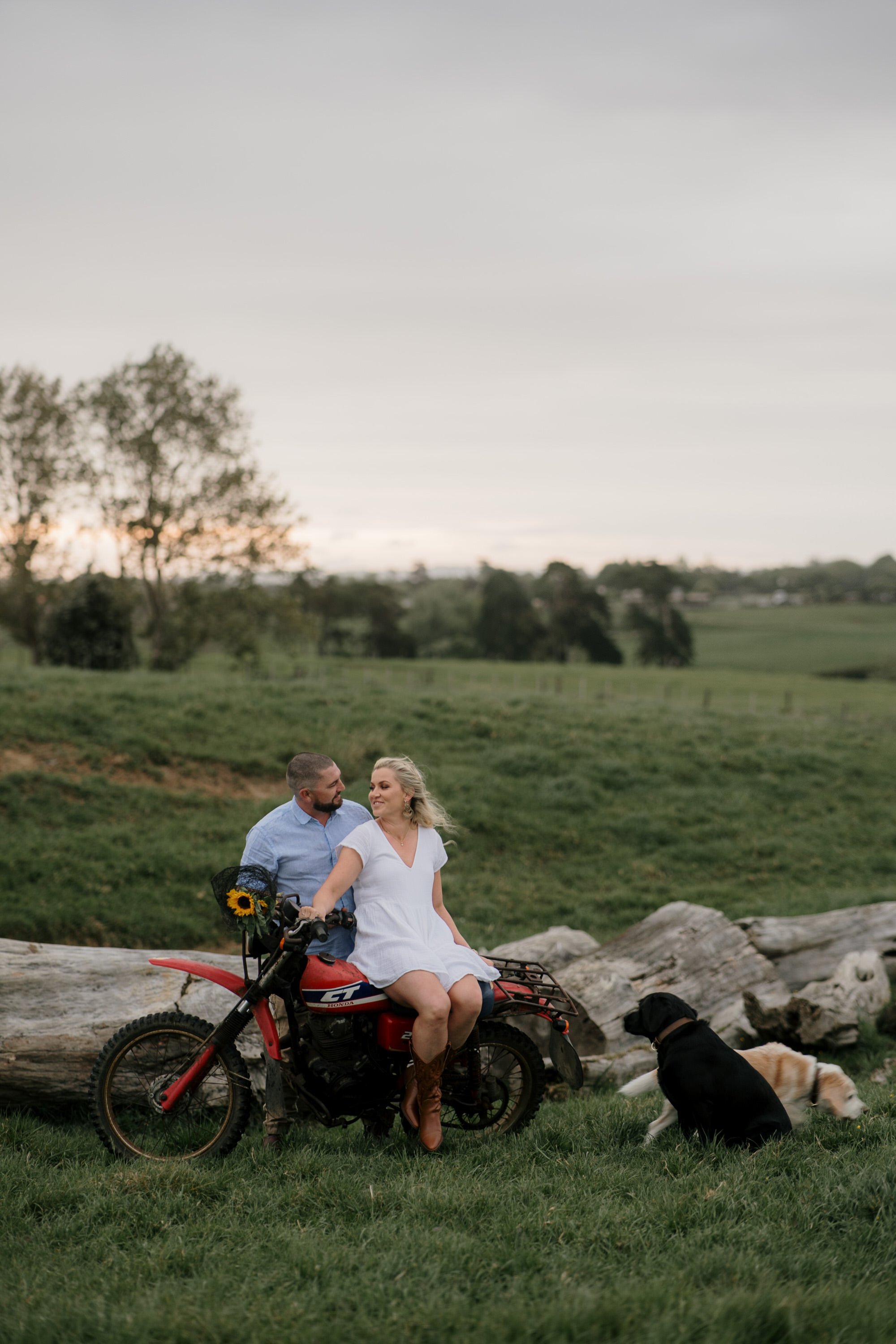 backyard-farm-elopment-pet-dogs-lifestyle-sunset-top-auckland-wedding-phtographer-NZ-best-photography-videography-film-new-zealand-NZ-top-engagement-2024-bride-groom-dear-white-productions (20).jpg
