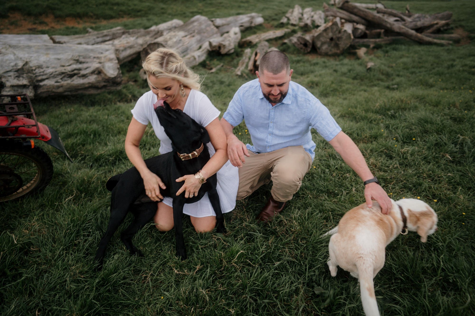 backyard-farm-elopment-pet-dogs-lifestyle-sunset-top-auckland-wedding-phtographer-NZ-best-photography-videography-film-new-zealand-NZ-top-engagement-2024-bride-groom-dear-white-productions (23).jpg