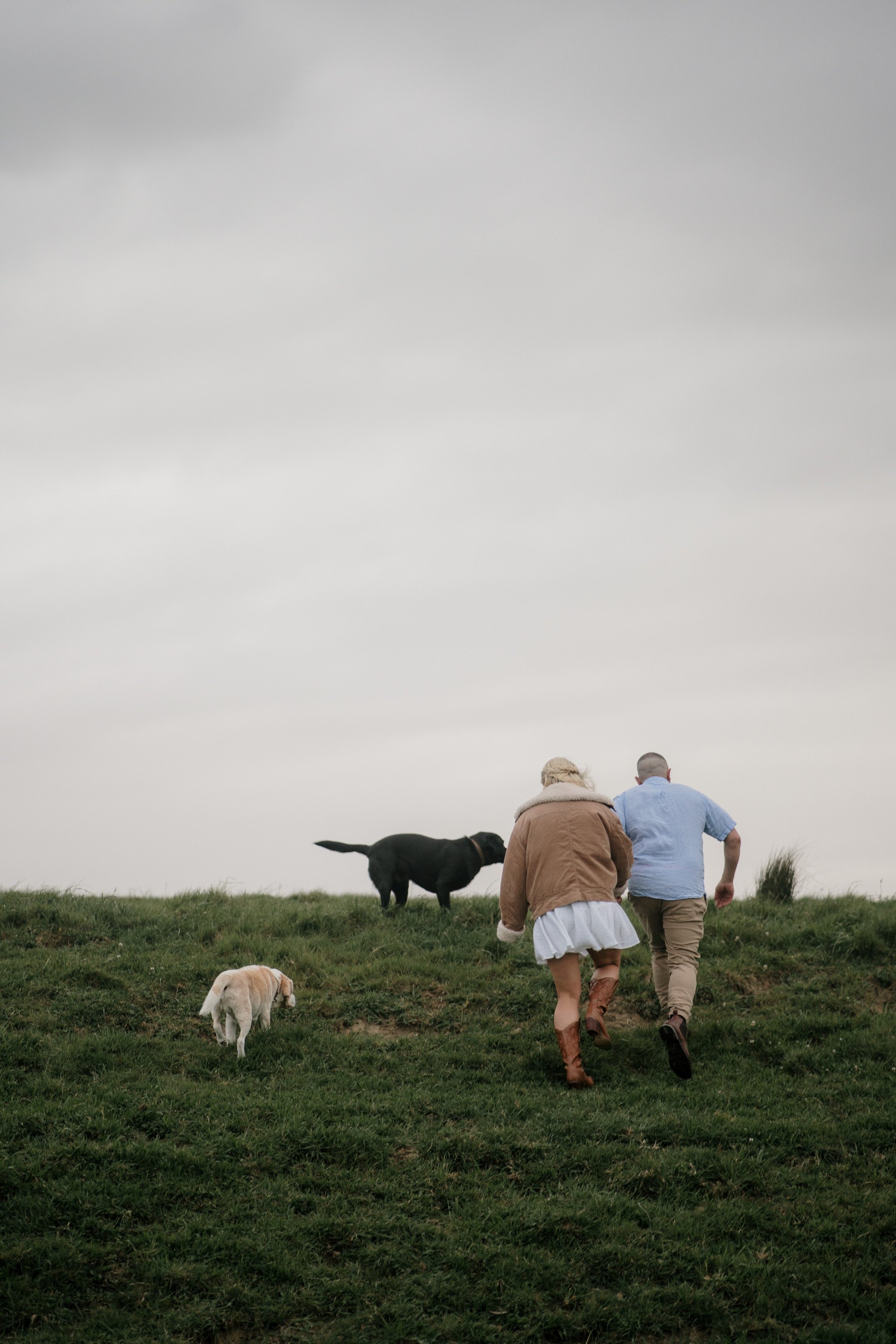 backyard-farm-elopment-pet-dogs-lifestyle-sunset-top-auckland-wedding-phtographer-NZ-best-photography-videography-film-new-zealand-NZ-top-engagement-2024-bride-groom-dear-white-productions (61).jpg
