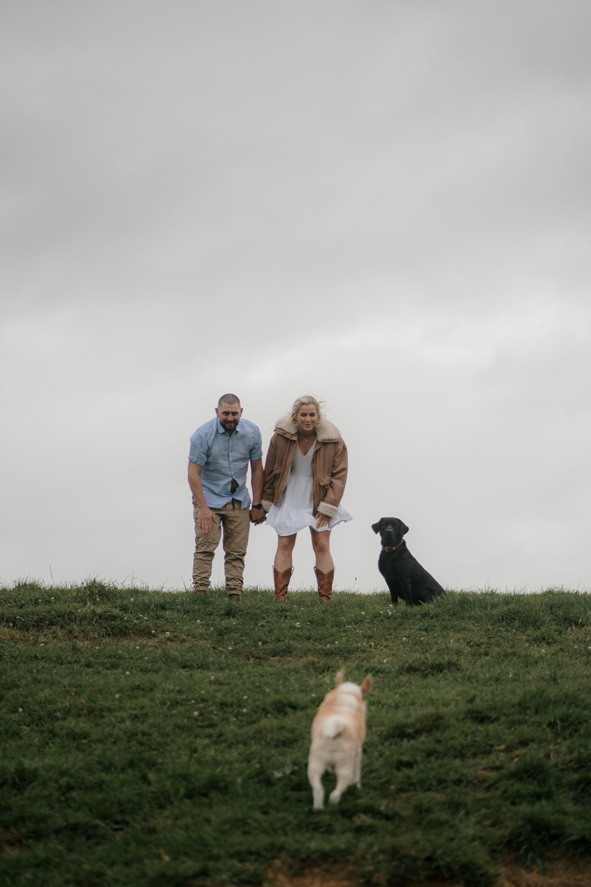 backyard-farm-elopment-pet-dogs-lifestyle-sunset-top-auckland-wedding-phtographer-NZ-best-photography-videography-film-new-zealand-NZ-top-engagement-2024-bride-groom-dear-white-productions (71).jpg