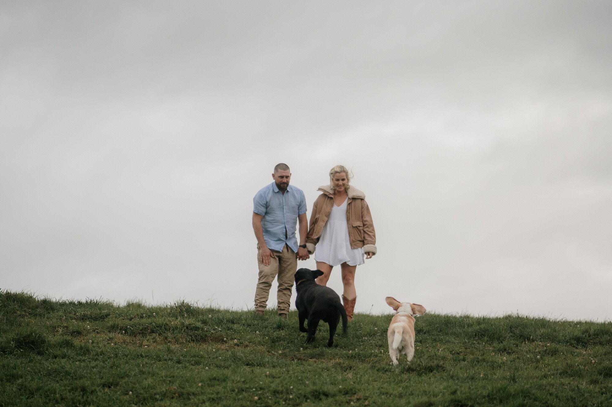 backyard-farm-elopment-pet-dogs-lifestyle-sunset-top-auckland-wedding-phtographer-NZ-best-photography-videography-film-new-zealand-NZ-top-engagement-2024-bride-groom-dear-white-productions (72).jpg