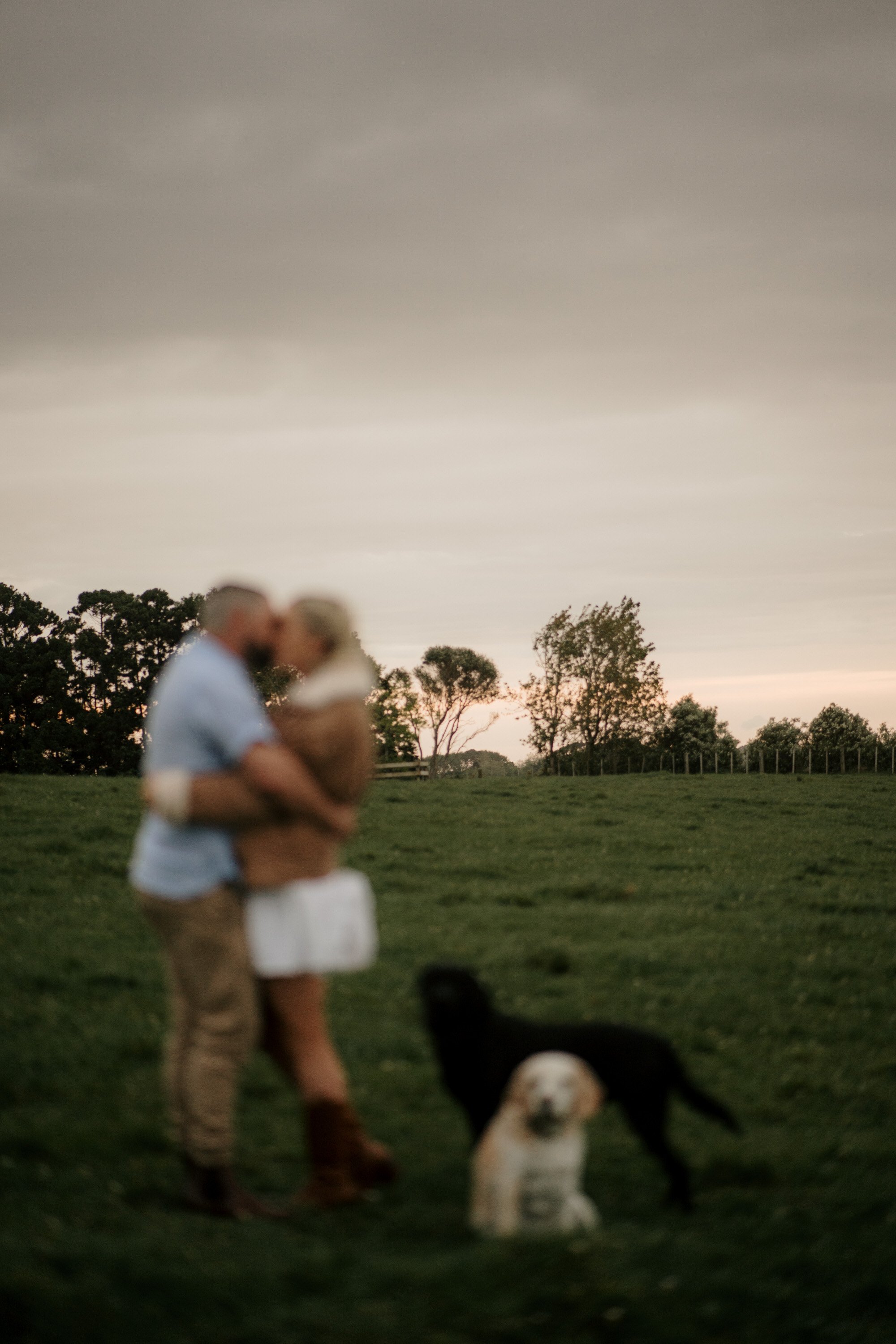 backyard-farm-elopment-pet-dogs-lifestyle-sunset-top-auckland-wedding-phtographer-NZ-best-photography-videography-film-new-zealand-NZ-top-engagement-2024-bride-groom-dear-white-productions (75).jpg