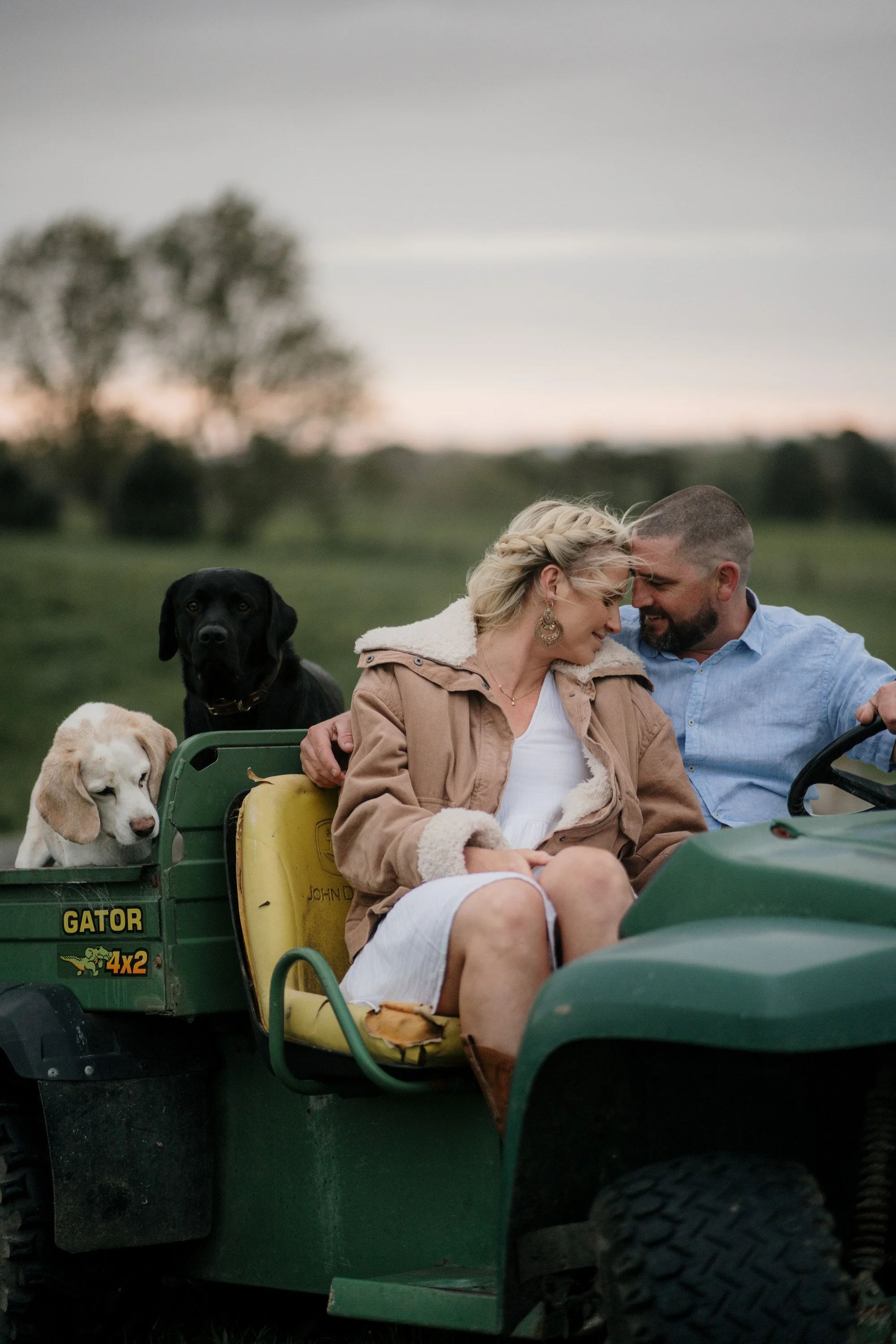 Farm Photography Nz