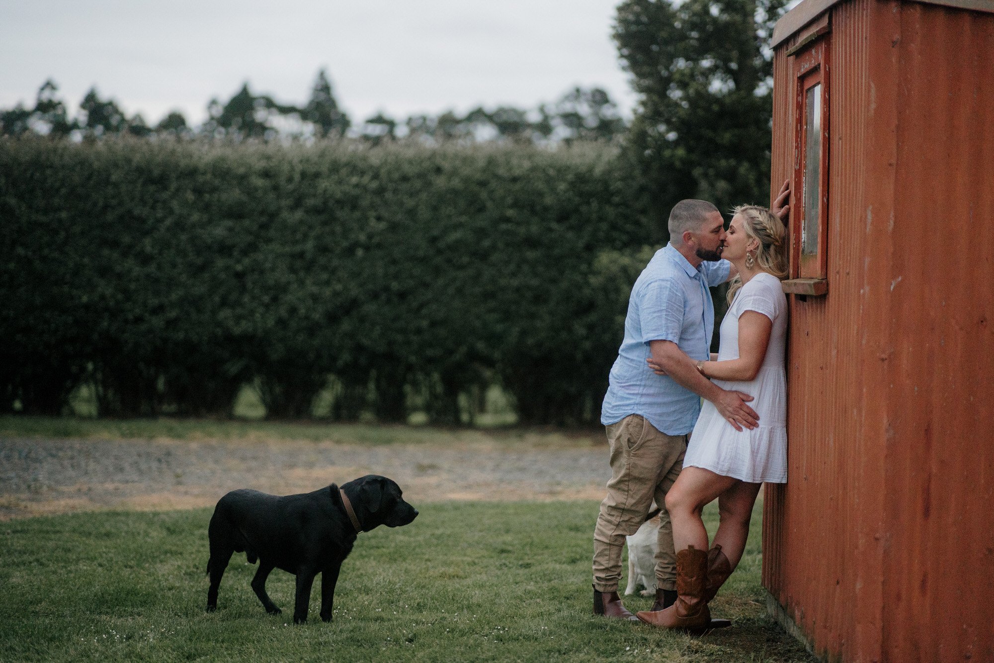 backyard-farm-elopment-pet-dogs-lifestyle-sunset-top-auckland-wedding-phtographer-NZ-best-photography-videography-film-new-zealand-NZ-top-engagement-2024-bride-groom-dear-white-productions (105).jpg