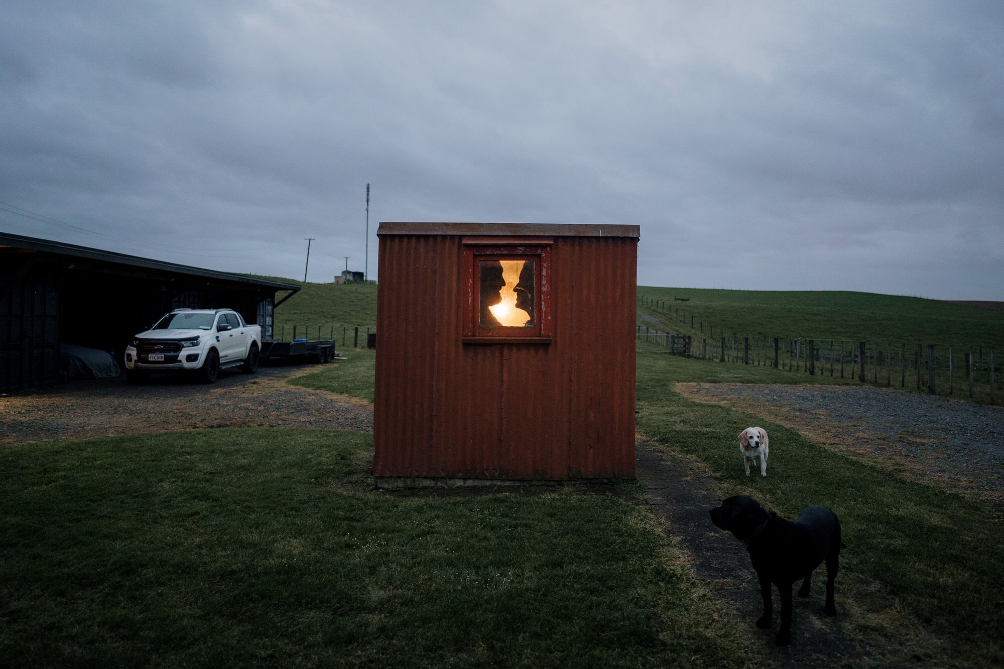 backyard-farm-elopment-pet-dogs-lifestyle-sunset-top-auckland-wedding-phtographer-NZ-best-photography-videography-film-new-zealand-NZ-top-engagement-2024-bride-groom-dear-white-productions (107).jpg