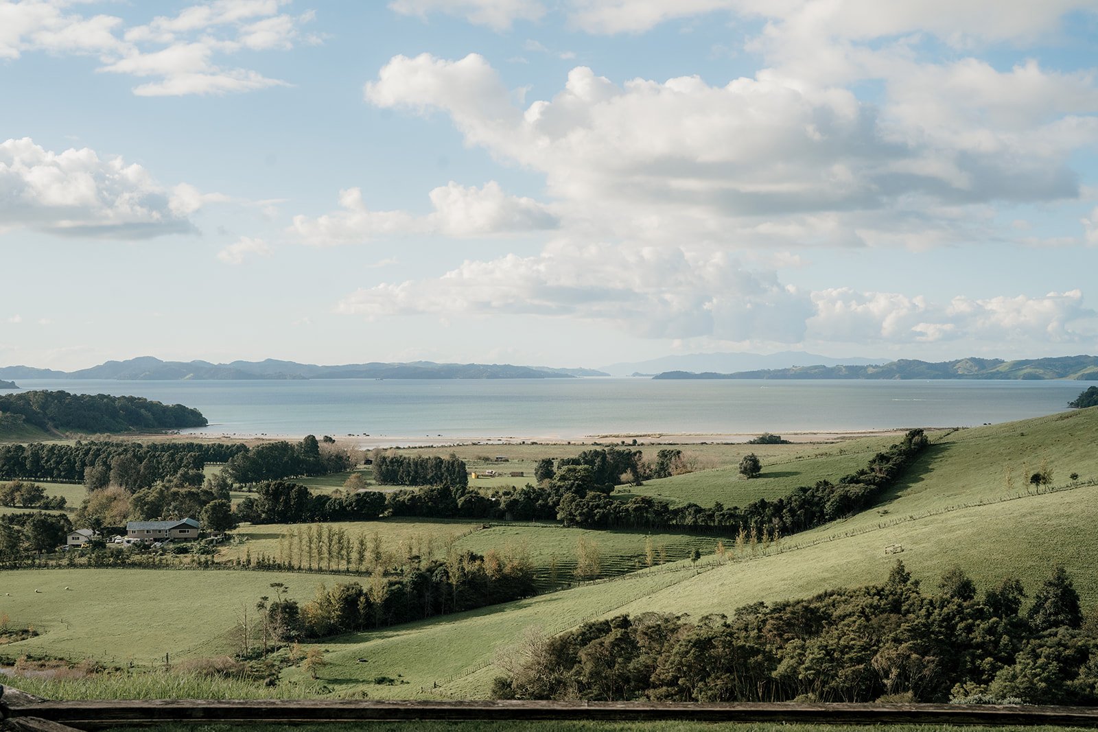 kauri-bay-boomrock-clevedon-top-auckland-wedding-phtographer-photography-videography-film-new-zealand-NZ-best-farm-venue-intimate-winter-hill-dear-white-productions (250).jpg