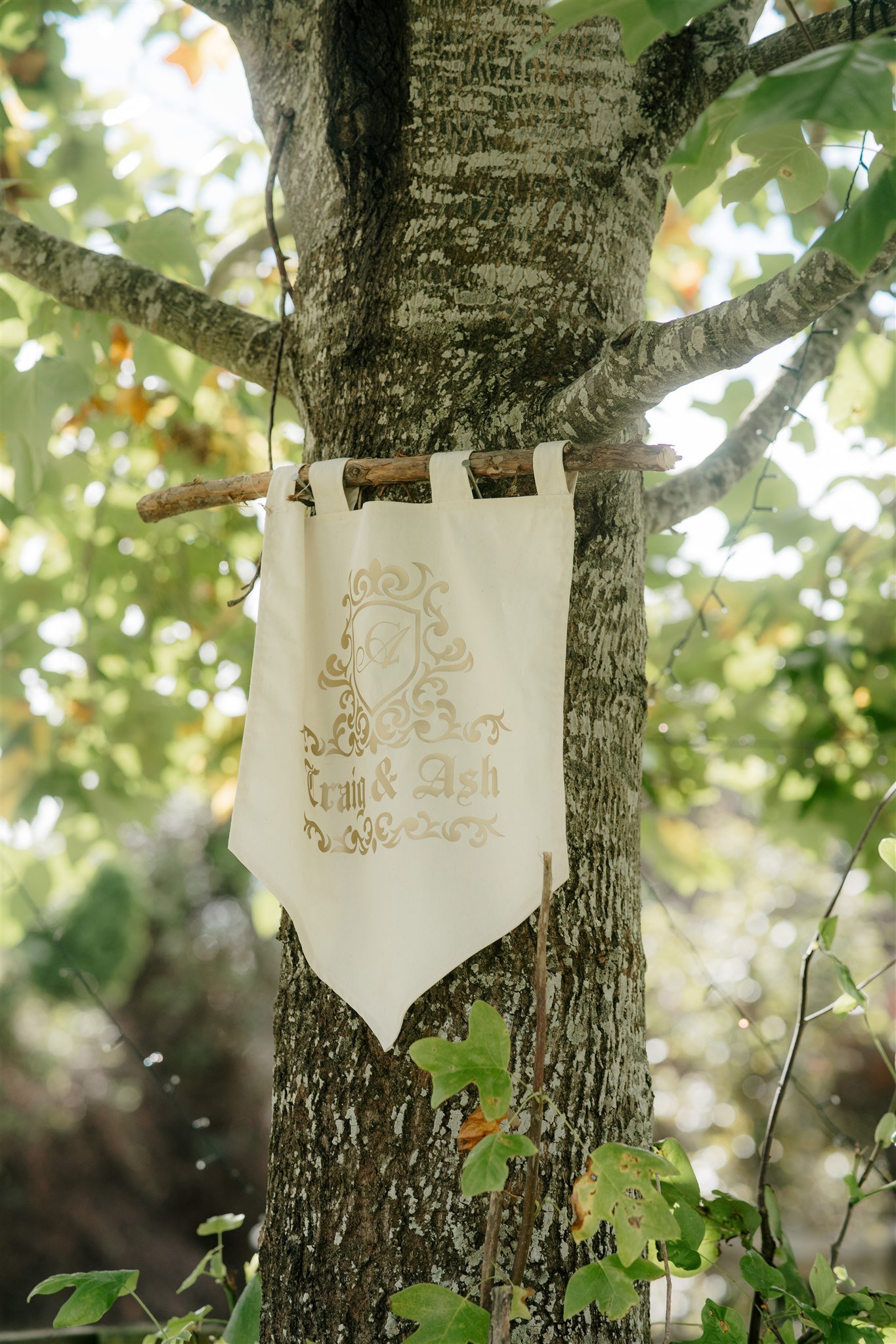 back-yard-wedding-diy-medieval-dear-white-photography-videography-auckland-wedding-best (4).jpg