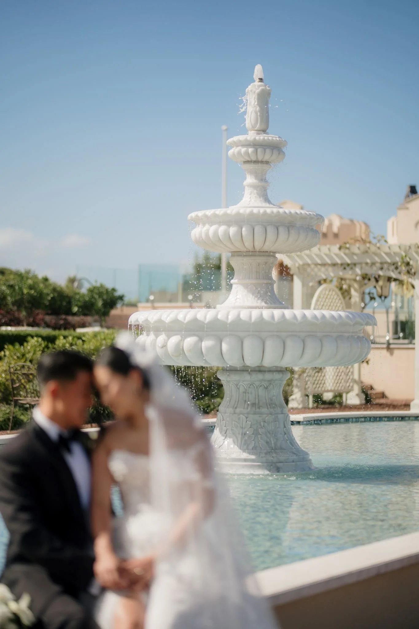 auckland-wedding-venue-best-photographer-videography-lone-pine-estate-cultural-chinese-tea-ceremony-traditional (51).jpg
