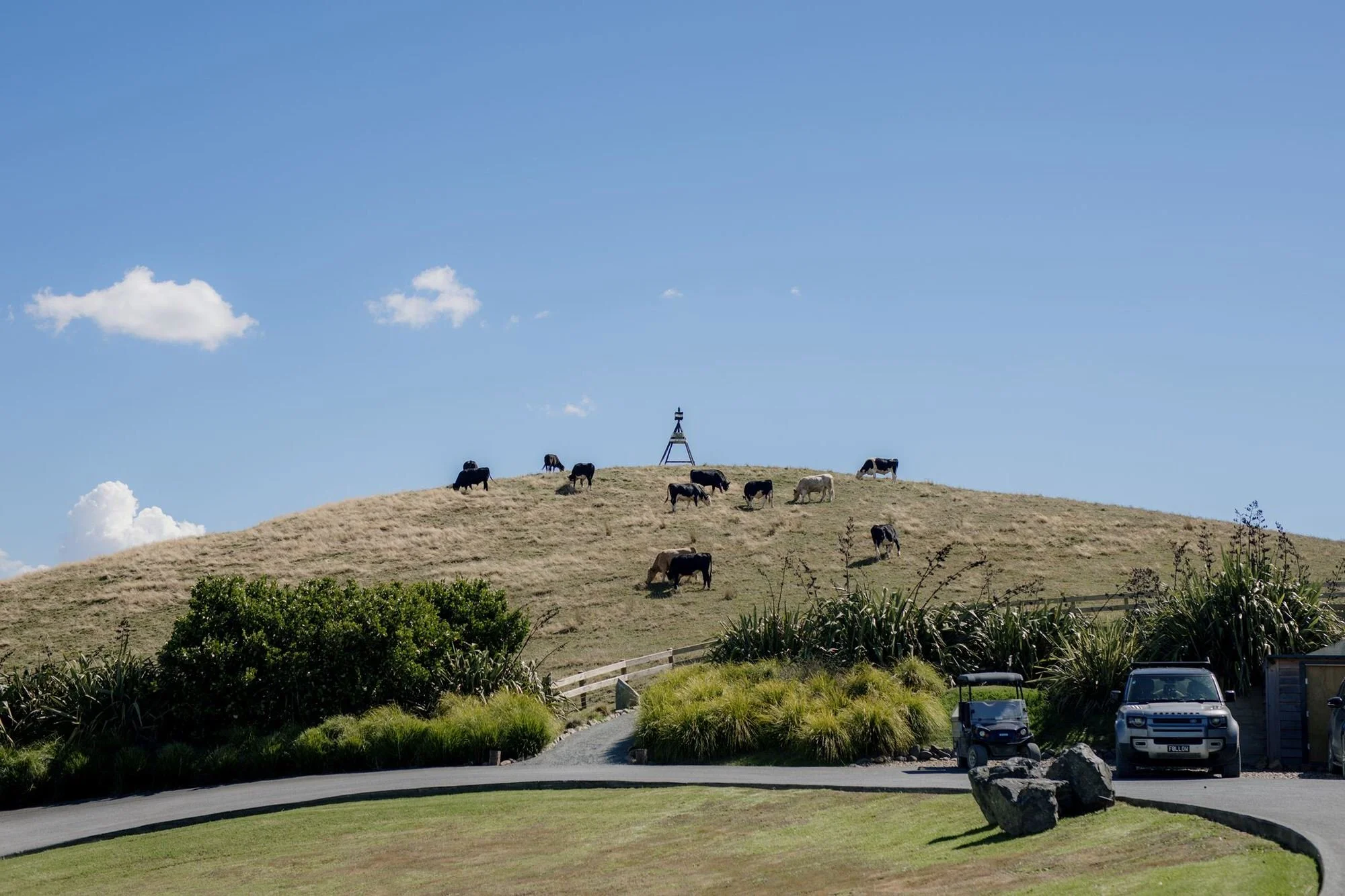 kauri-bay-wedding-venue-auckland-wedding-photographer-videographer-new-zealand (5).jpg