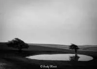 Open_Andy West_001_7.jpg